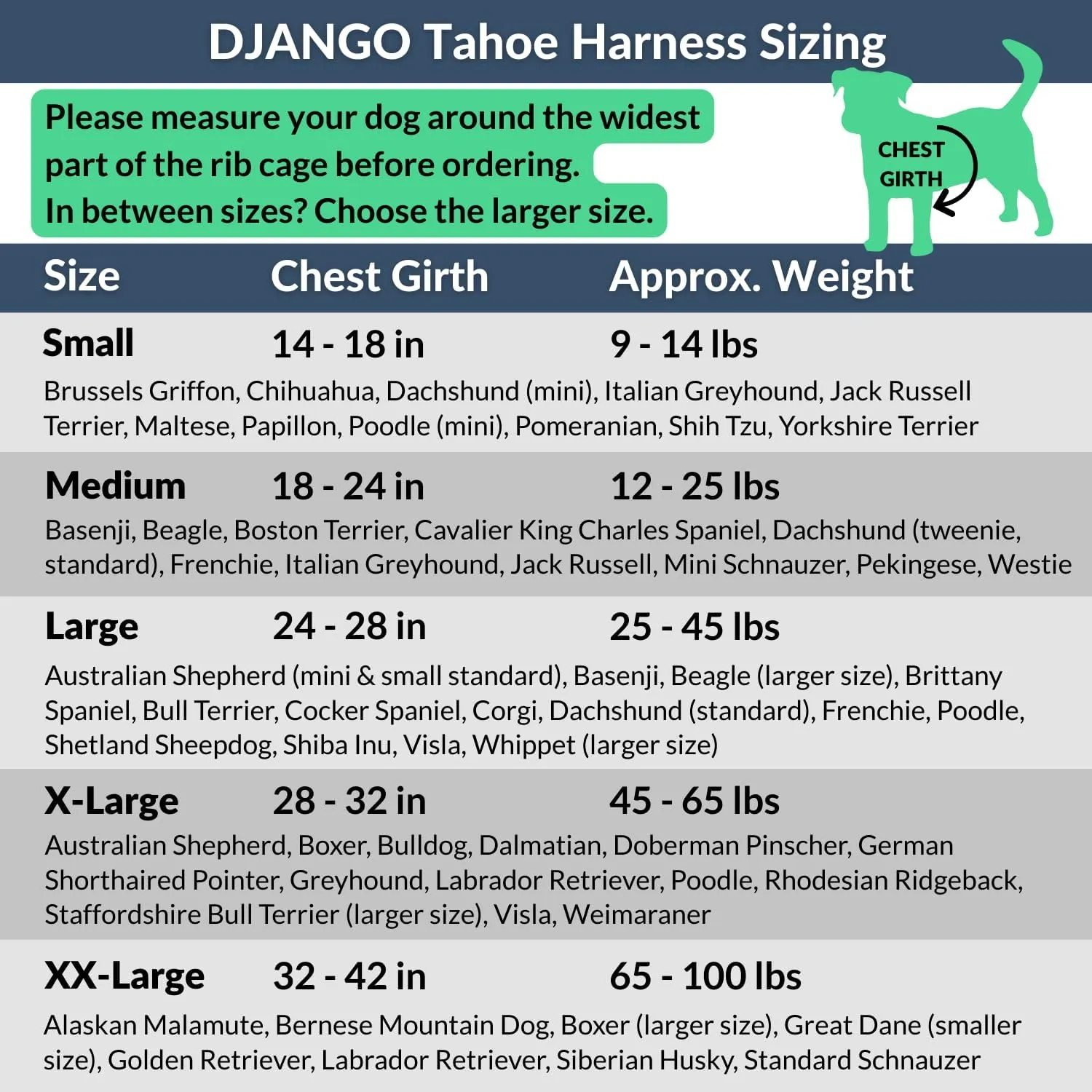 DJANGO Tahoe No Pull Dog Harness - Durable and Comfortable Neoprene Pet Harness for Dogs - Padded Pet Harness for Everyday Use - Adjustable Pet Harness for Medium Dogs - Teal Green Medium Dog Harness
