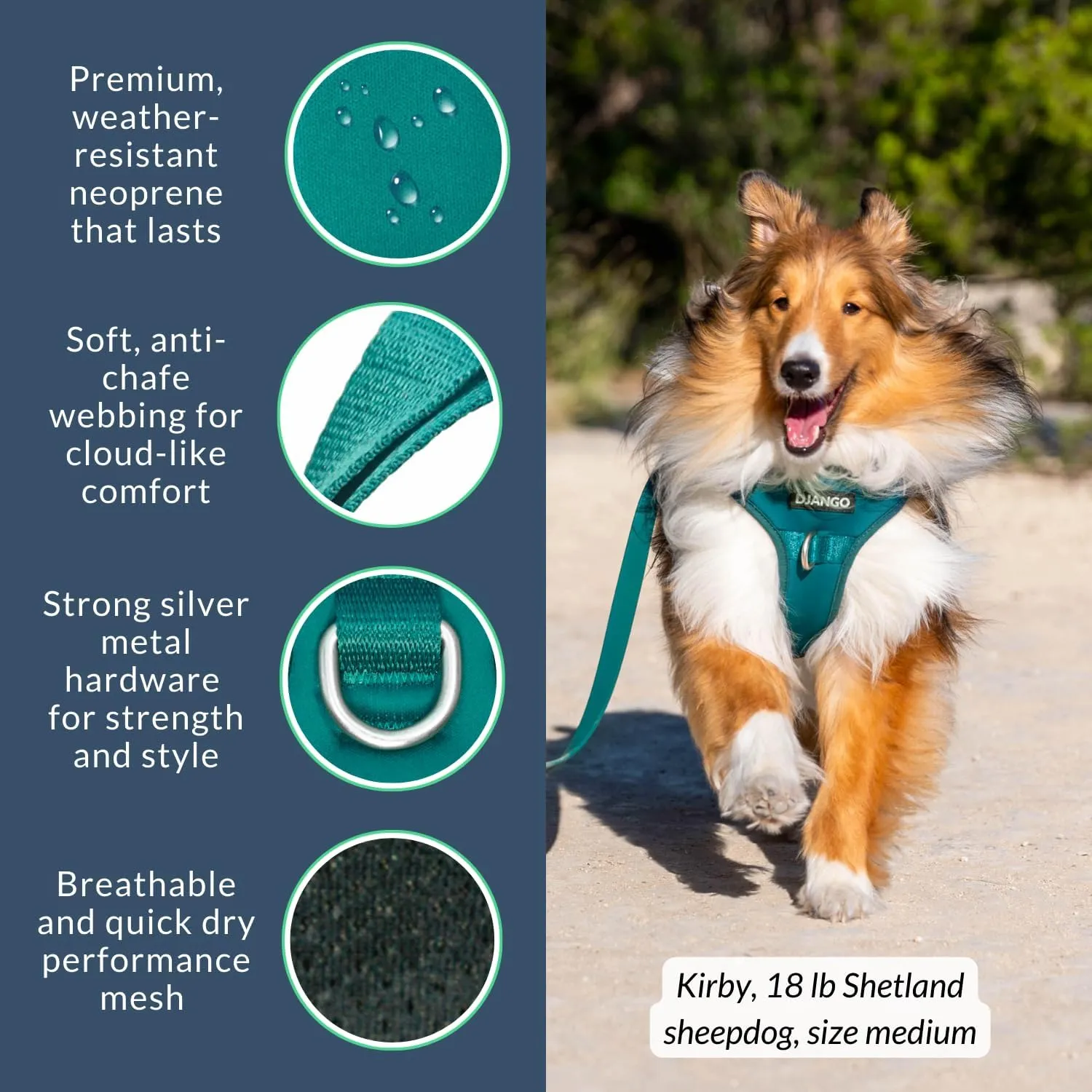 DJANGO Tahoe No Pull Dog Harness - Durable and Comfortable Neoprene Pet Harness for Dogs - Padded Pet Harness for Everyday Use - Adjustable Pet Harness for Medium Dogs - Teal Green Medium Dog Harness