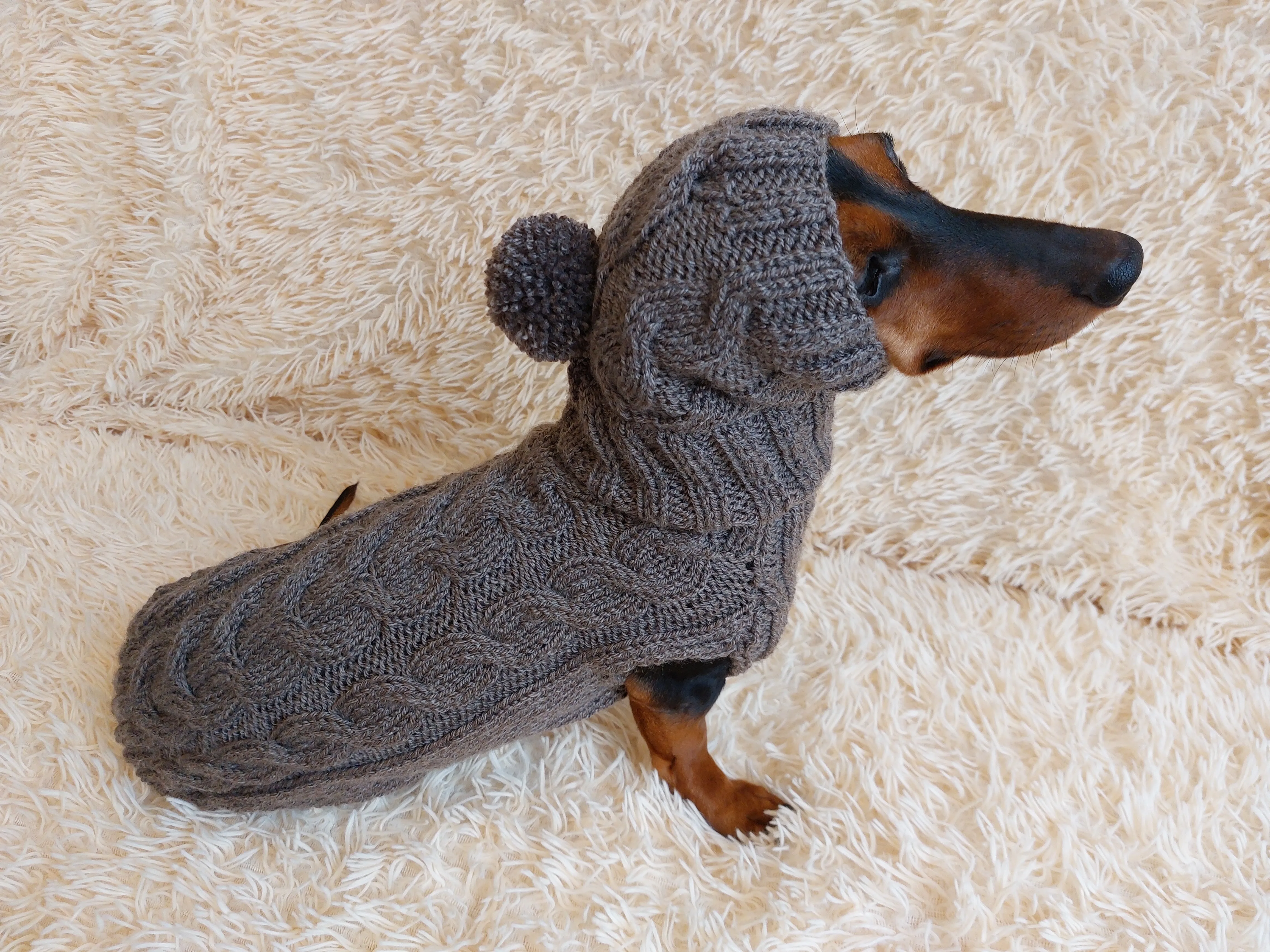 Dog costume sweater and hat, knitted dachshund clothes wool warm jamper and hat, winter pet suit sweater and hat