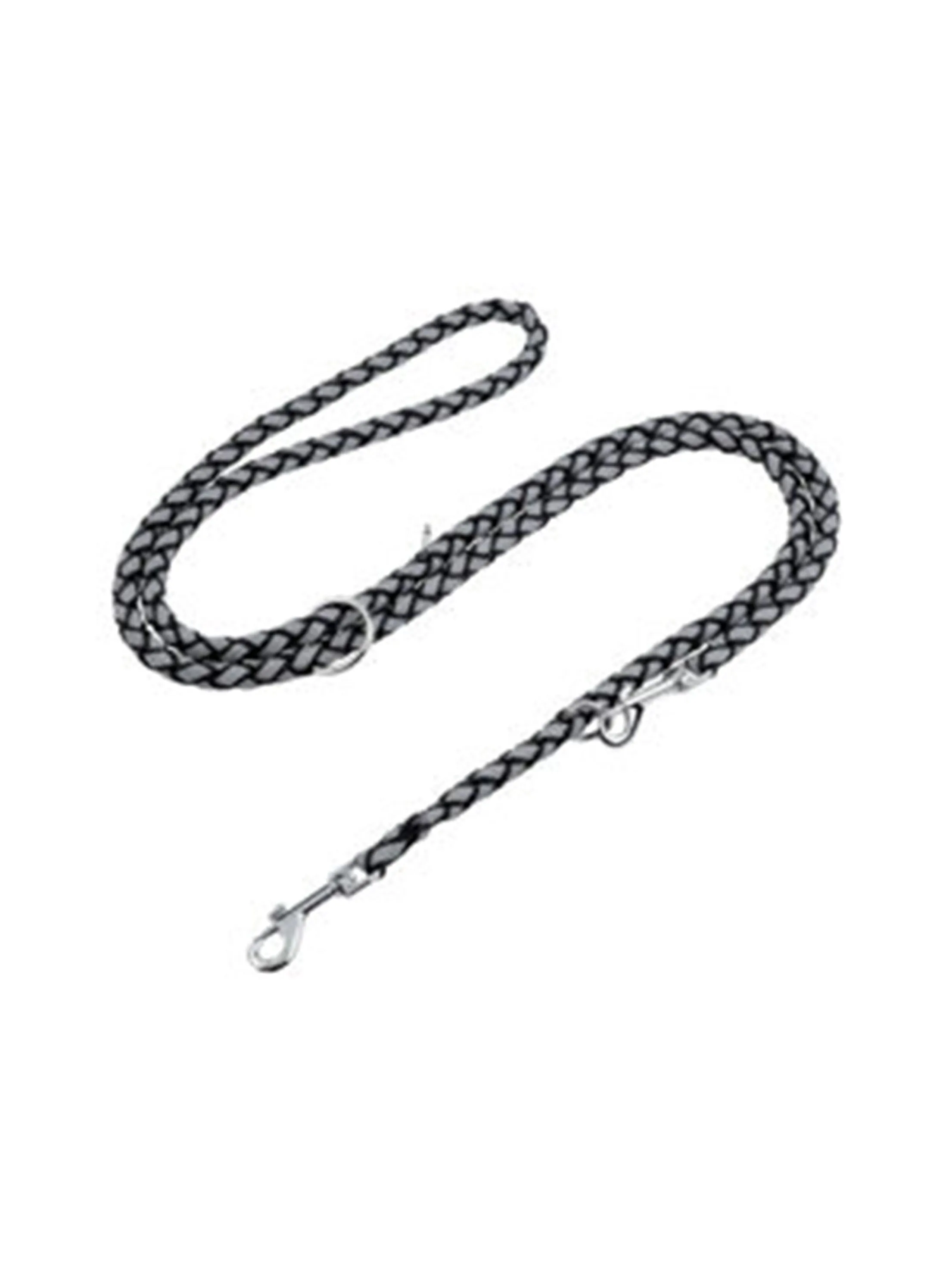 Dog Leash