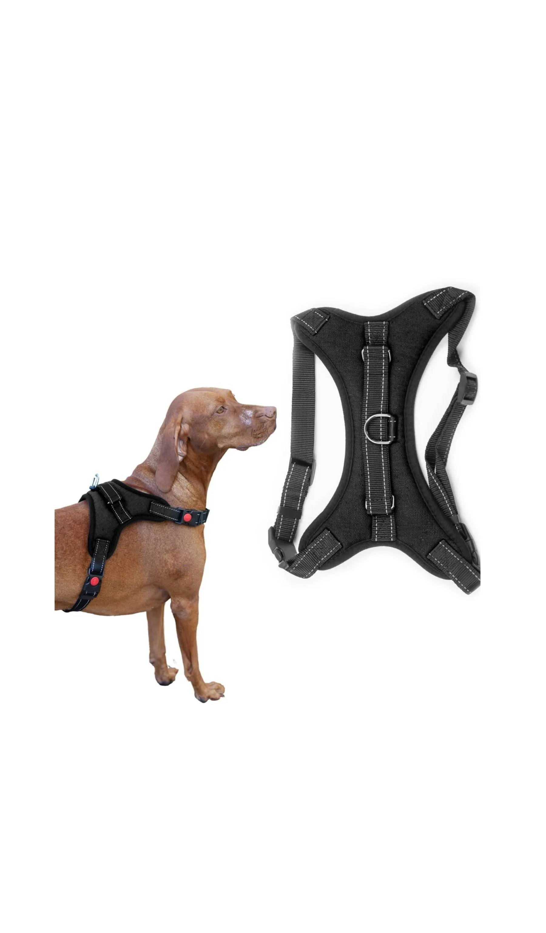 Dog Padded Harness