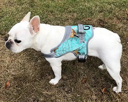 Doggy Tales Patented Realtree Hart Harness, Sea Glass