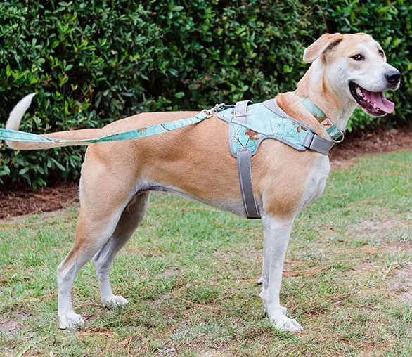 Doggy Tales Patented Realtree Hart Harness, Sea Glass