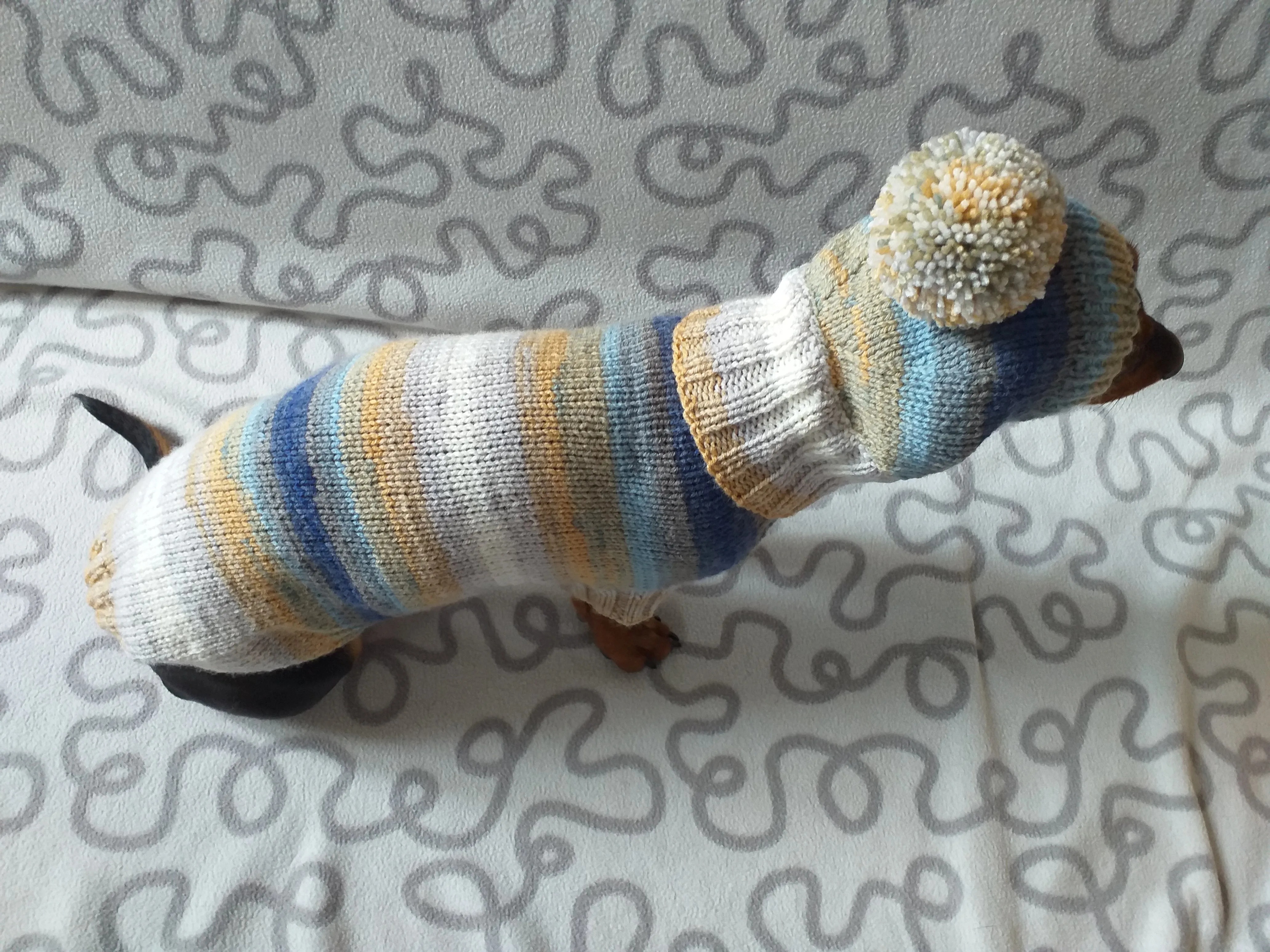 Doxie dachshund costume sweater and hat