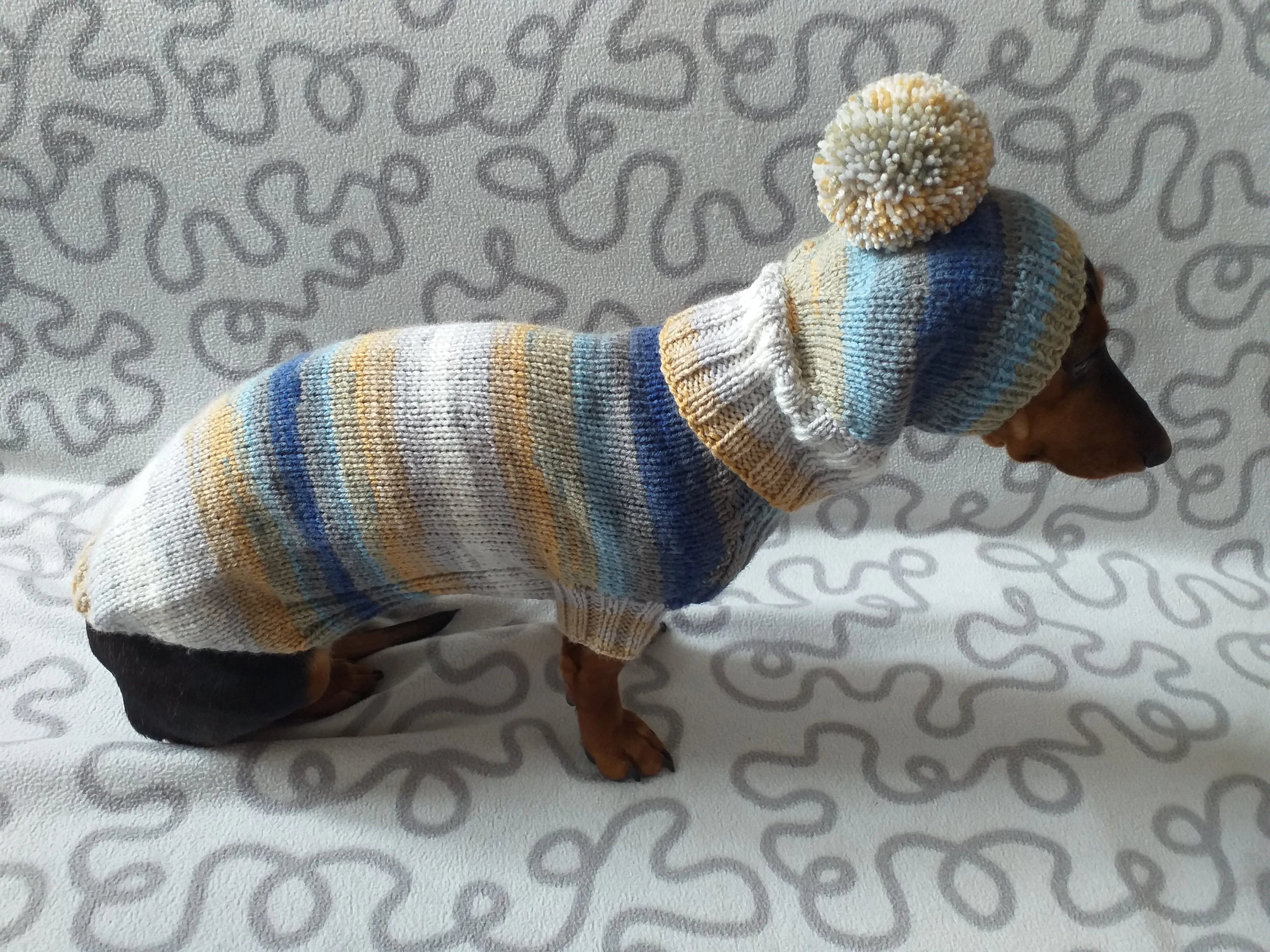 Doxie dachshund costume sweater and hat