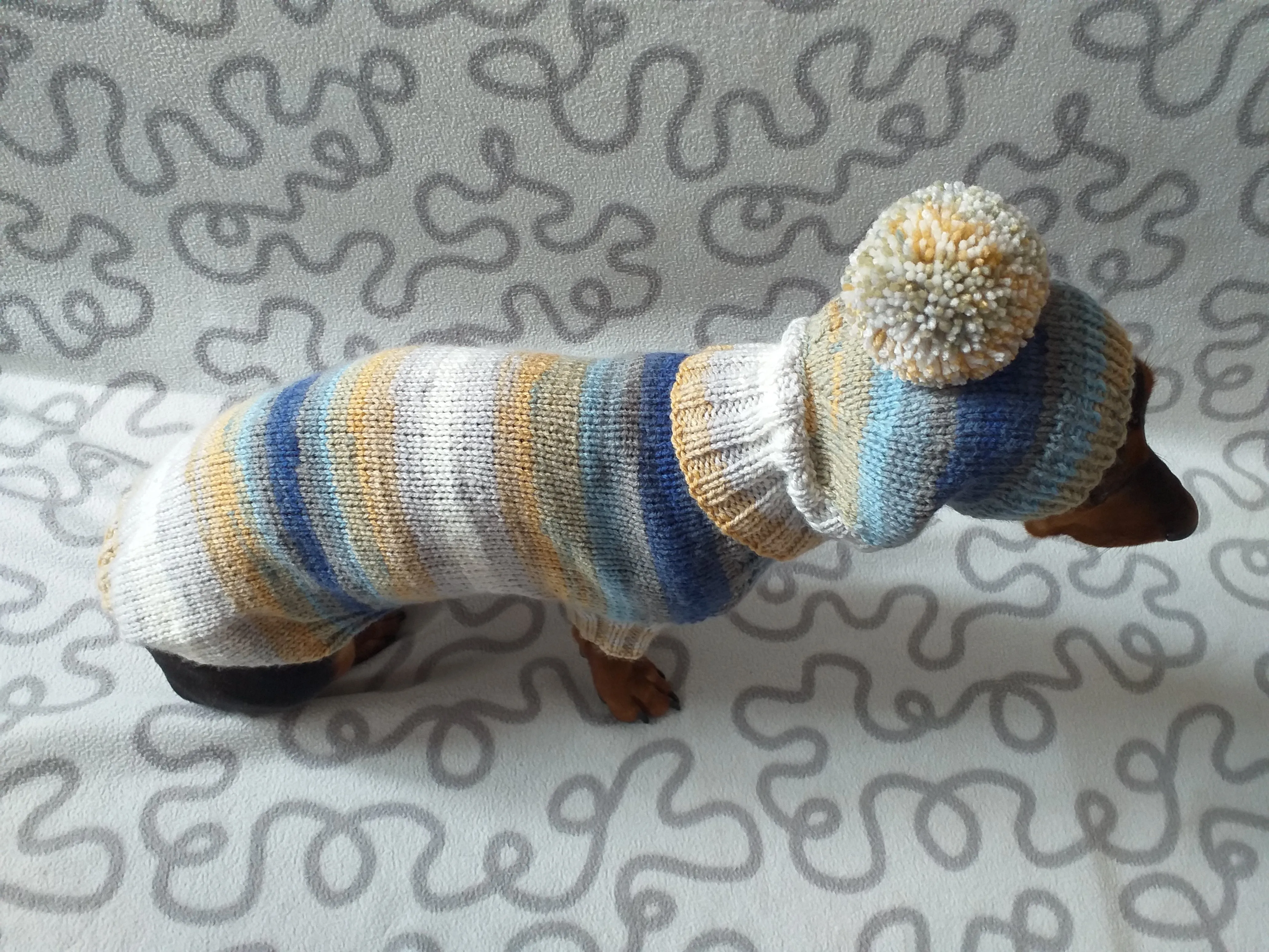 Doxie dachshund costume sweater and hat