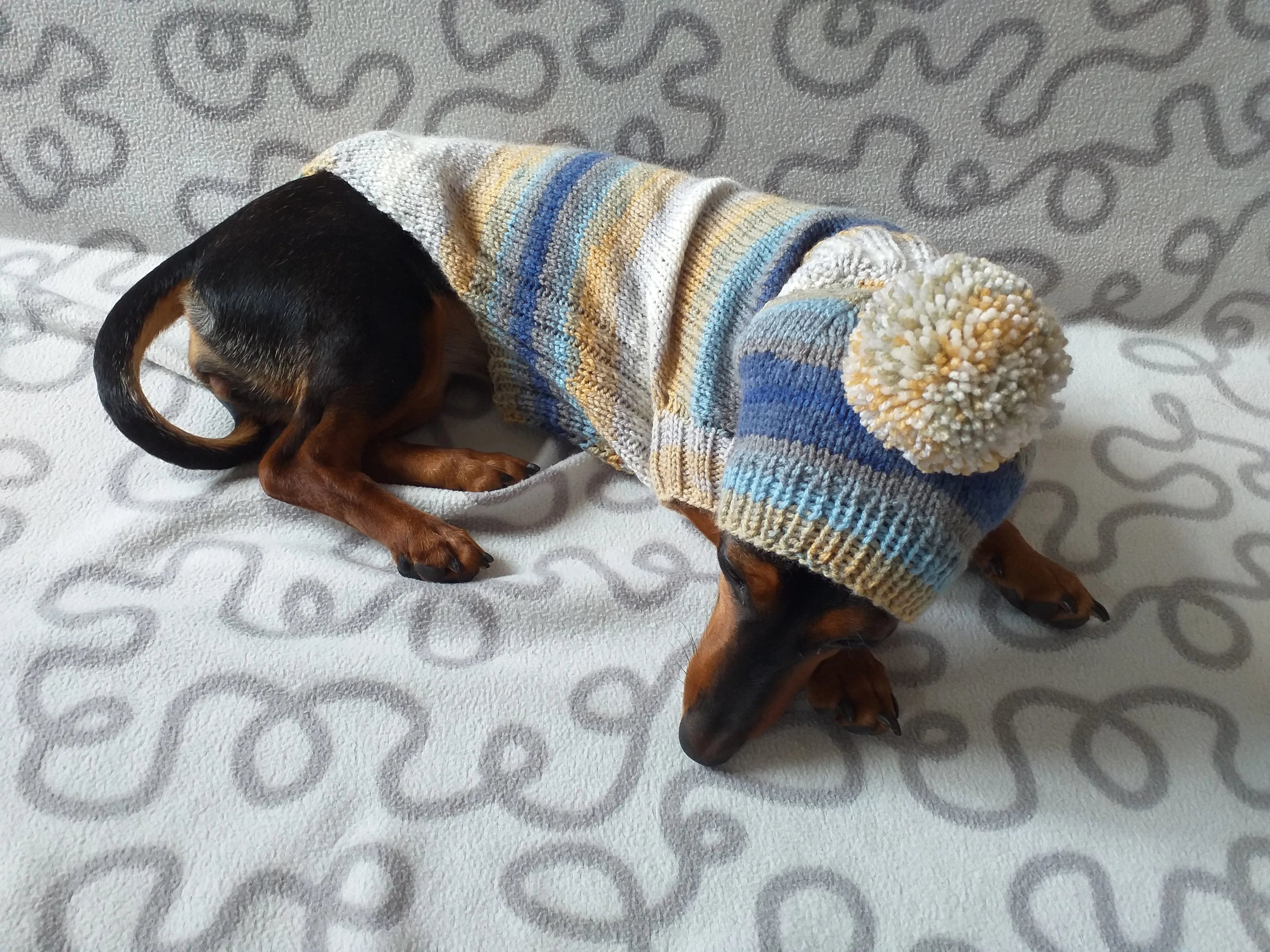 Doxie dachshund costume sweater and hat