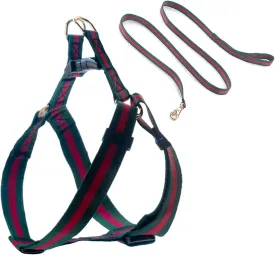 Elegant and Stylish Dog Harness and Leash,Durable Soft Neck and Chest Adjustable Pet Harness,Luxury Dog Harnesses and Dog Leashes Set Packing Gift for Big Large Dogs