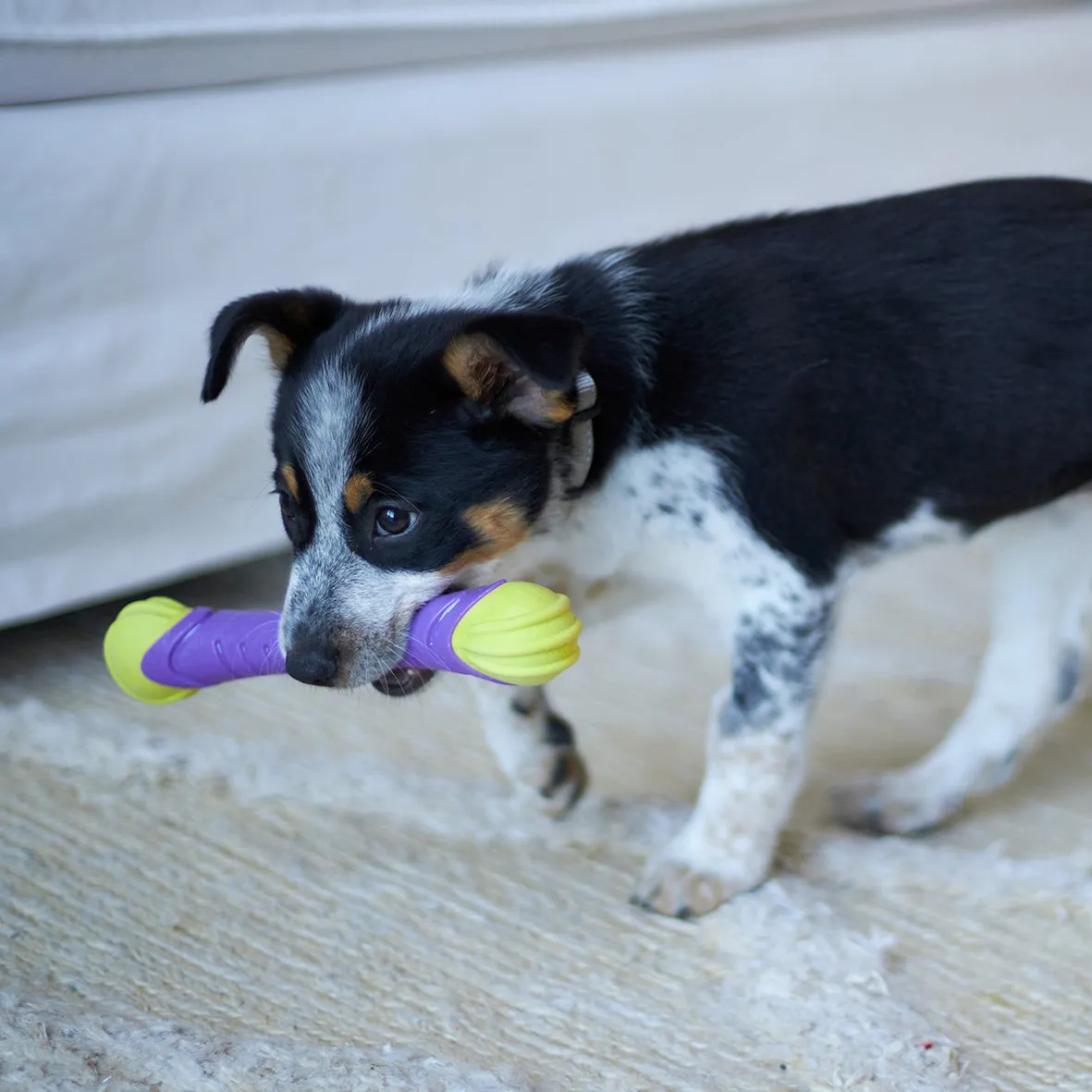 Extreme Play Dog Chew Stick - Medium