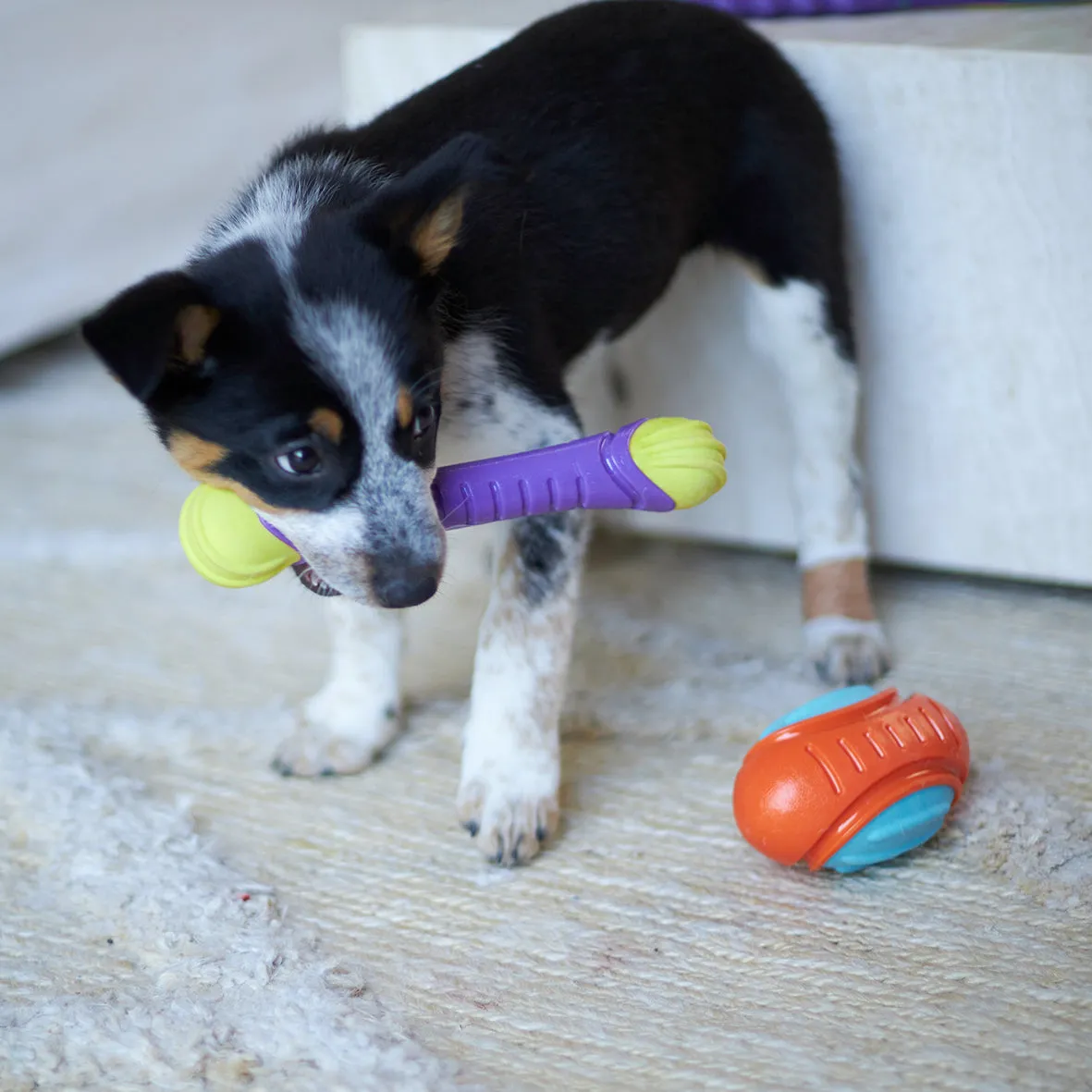 Extreme Play Dog Chew Stick - Medium