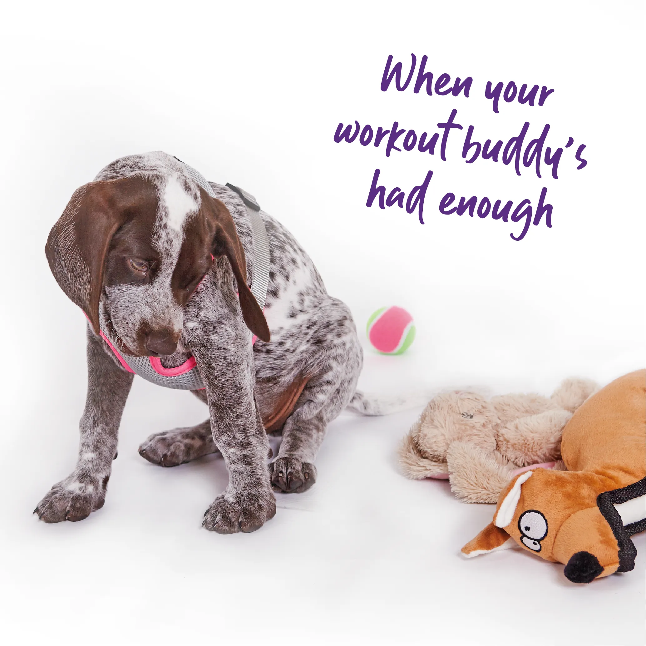 Furries - Tough Kangaroo Dog Toy