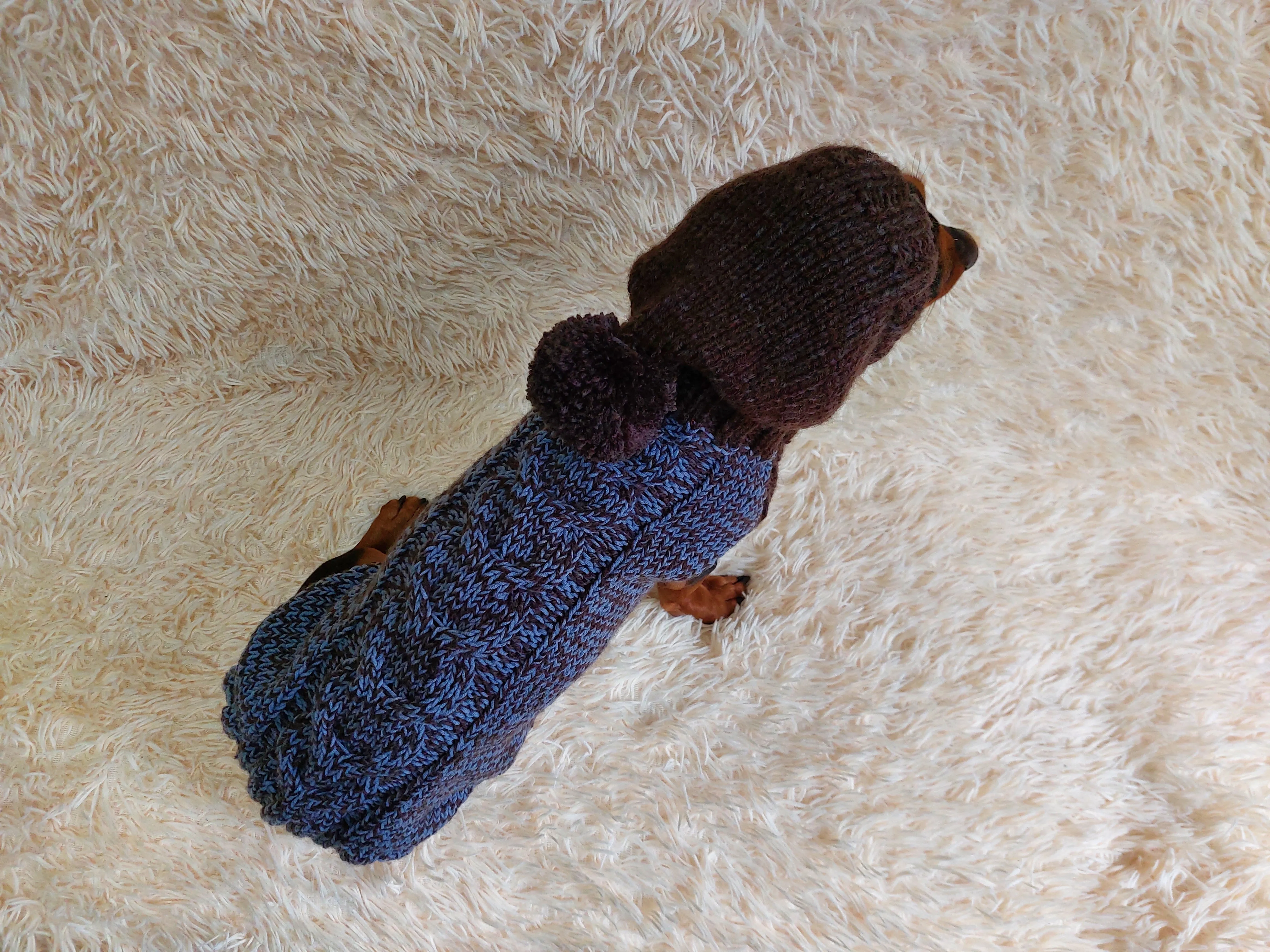 Hooded Dog pet Sweater, Sweater with hood for dachshund or small dog, sweatshirt knitted for dog
