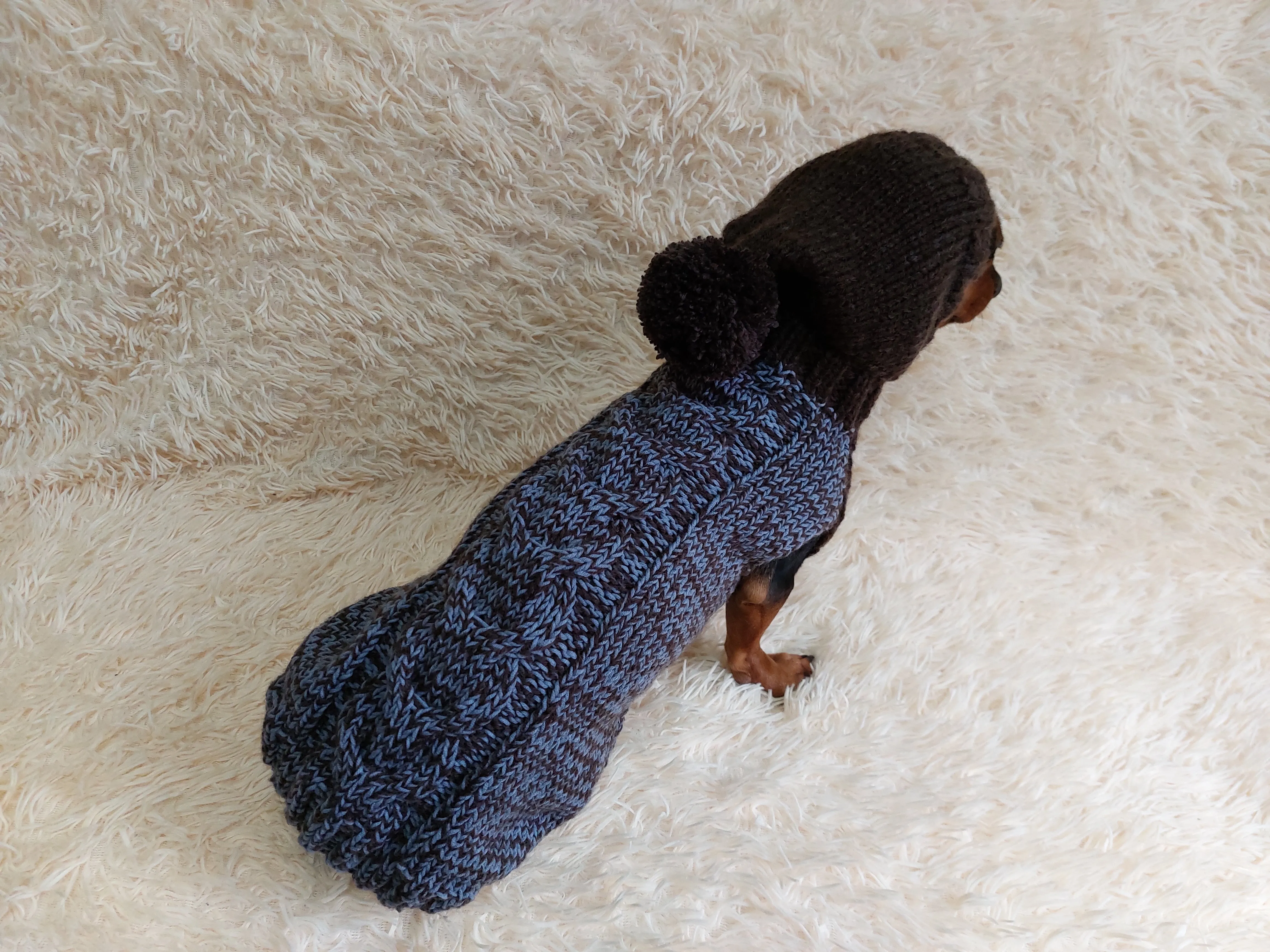 Hooded Dog pet Sweater, Sweater with hood for dachshund or small dog, sweatshirt knitted for dog
