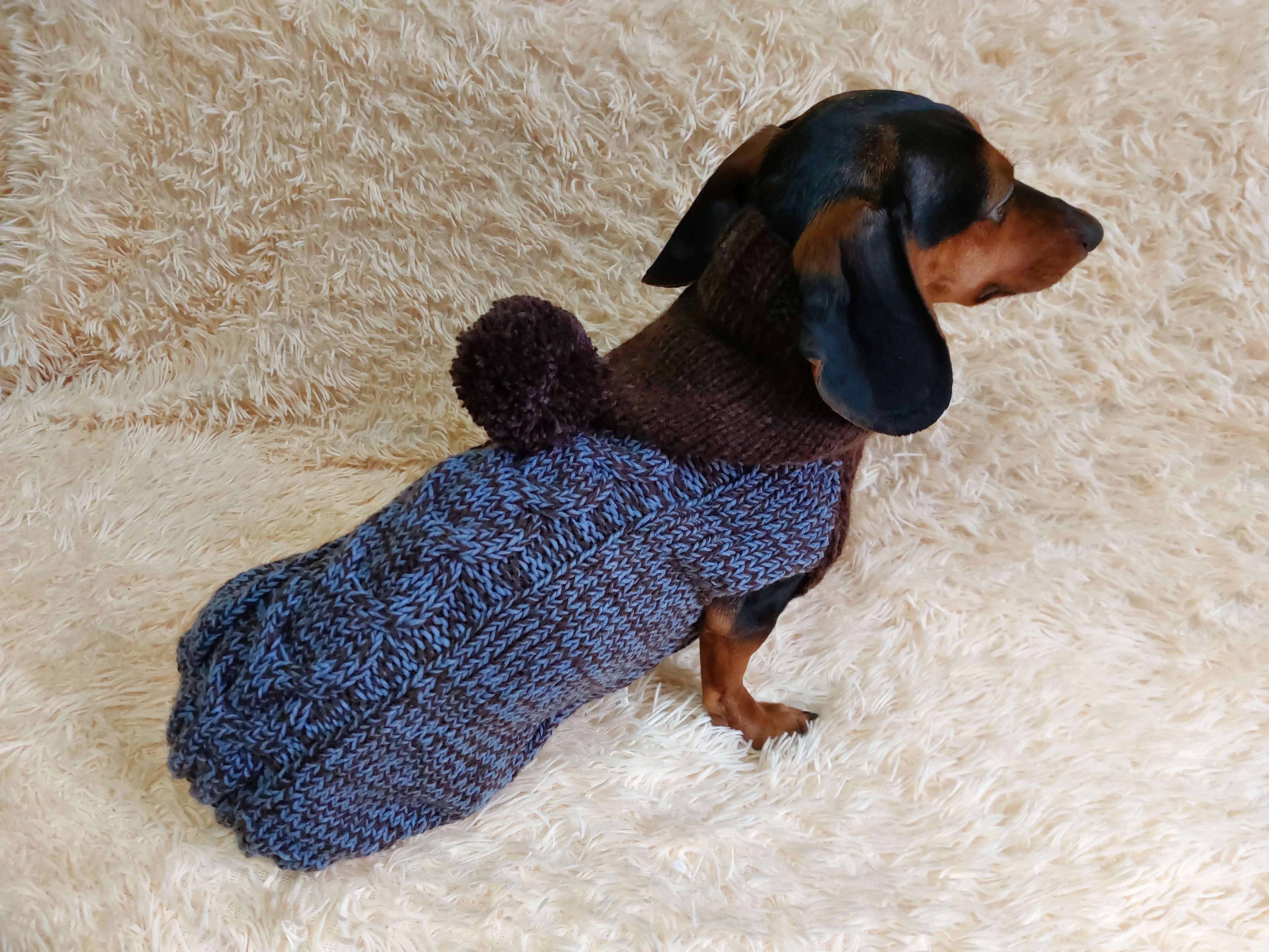 Hooded Dog pet Sweater, Sweater with hood for dachshund or small dog, sweatshirt knitted for dog