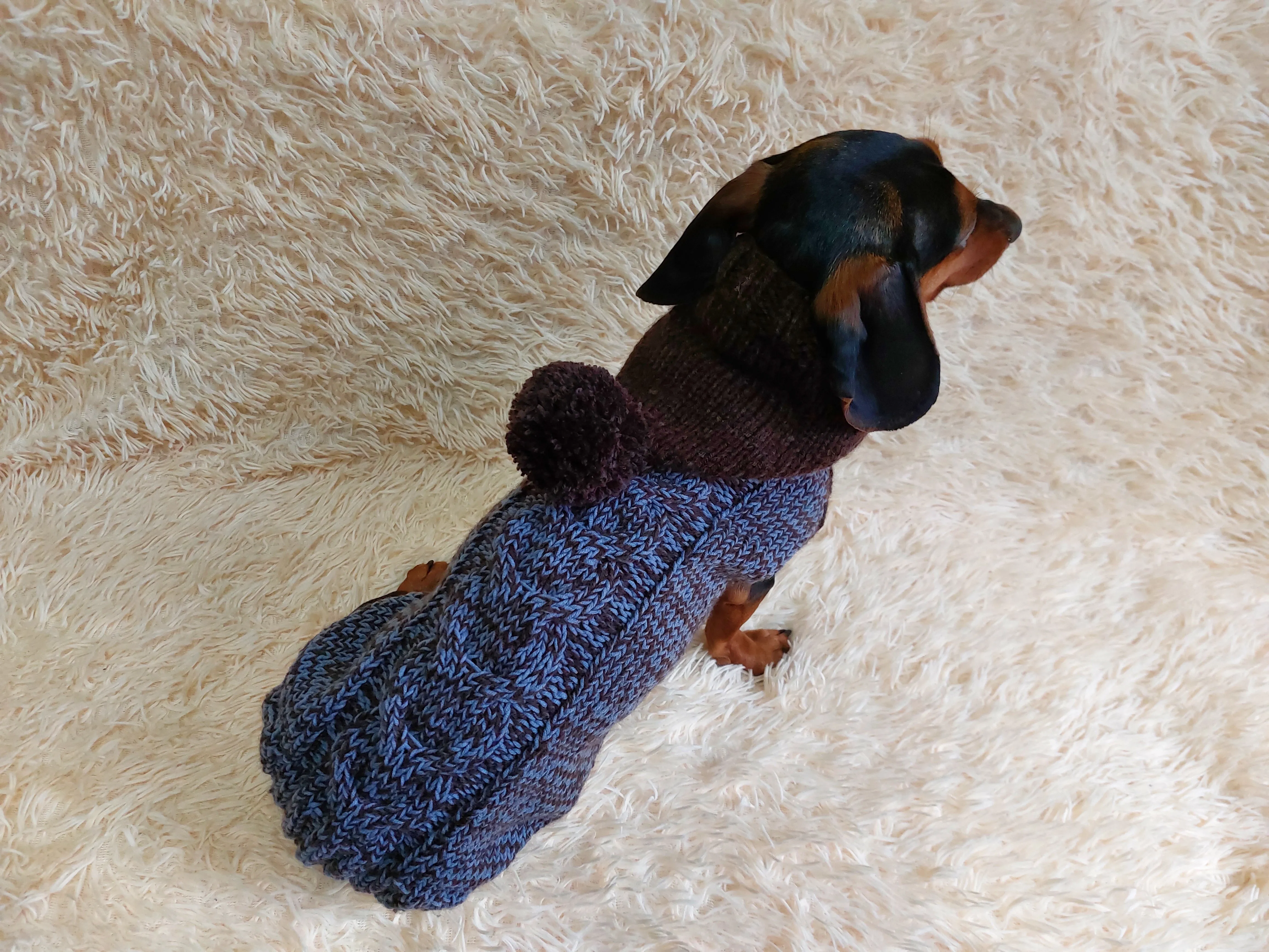 Hooded Dog pet Sweater, Sweater with hood for dachshund or small dog, sweatshirt knitted for dog