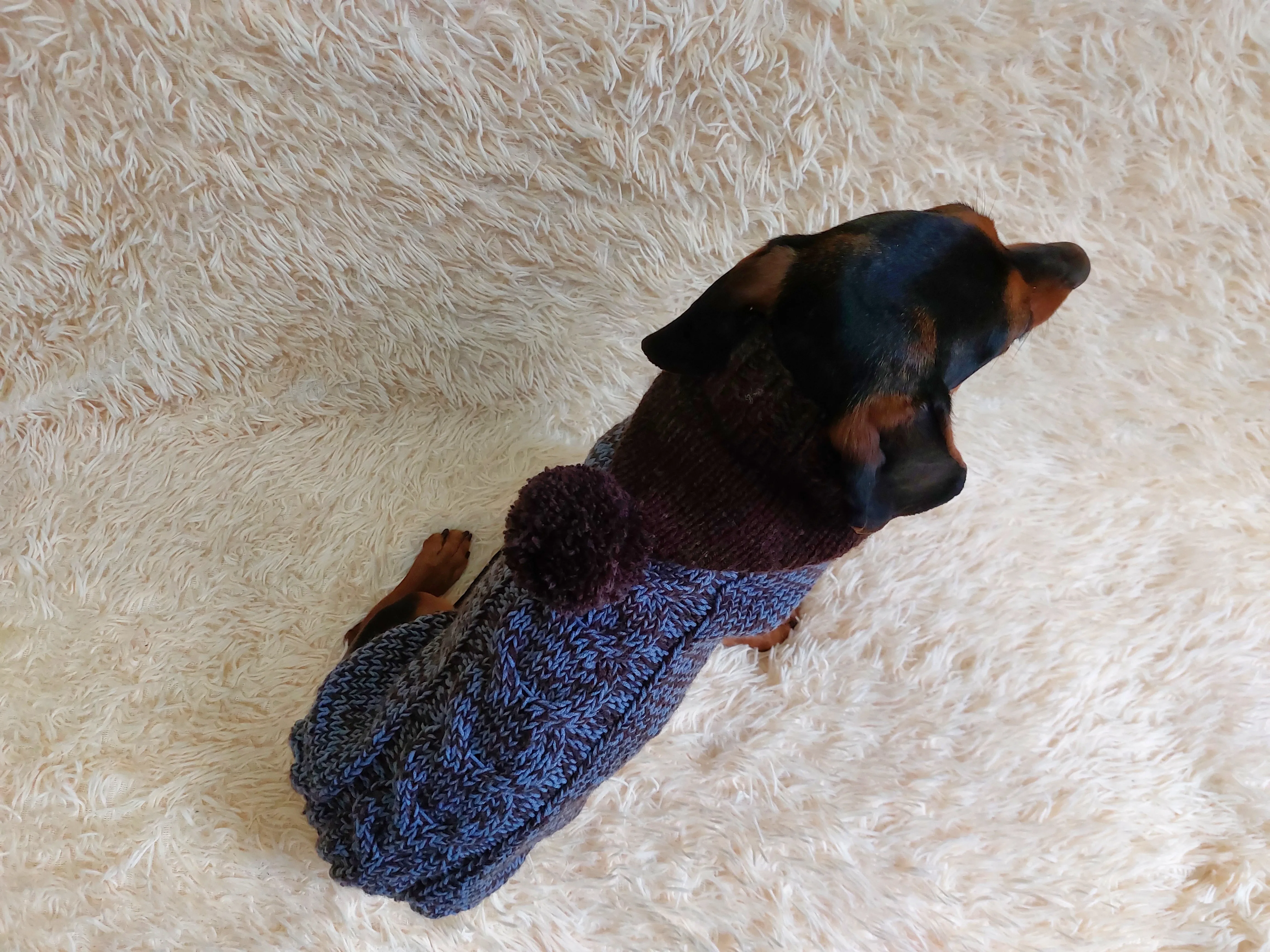 Hooded Dog pet Sweater, Sweater with hood for dachshund or small dog, sweatshirt knitted for dog