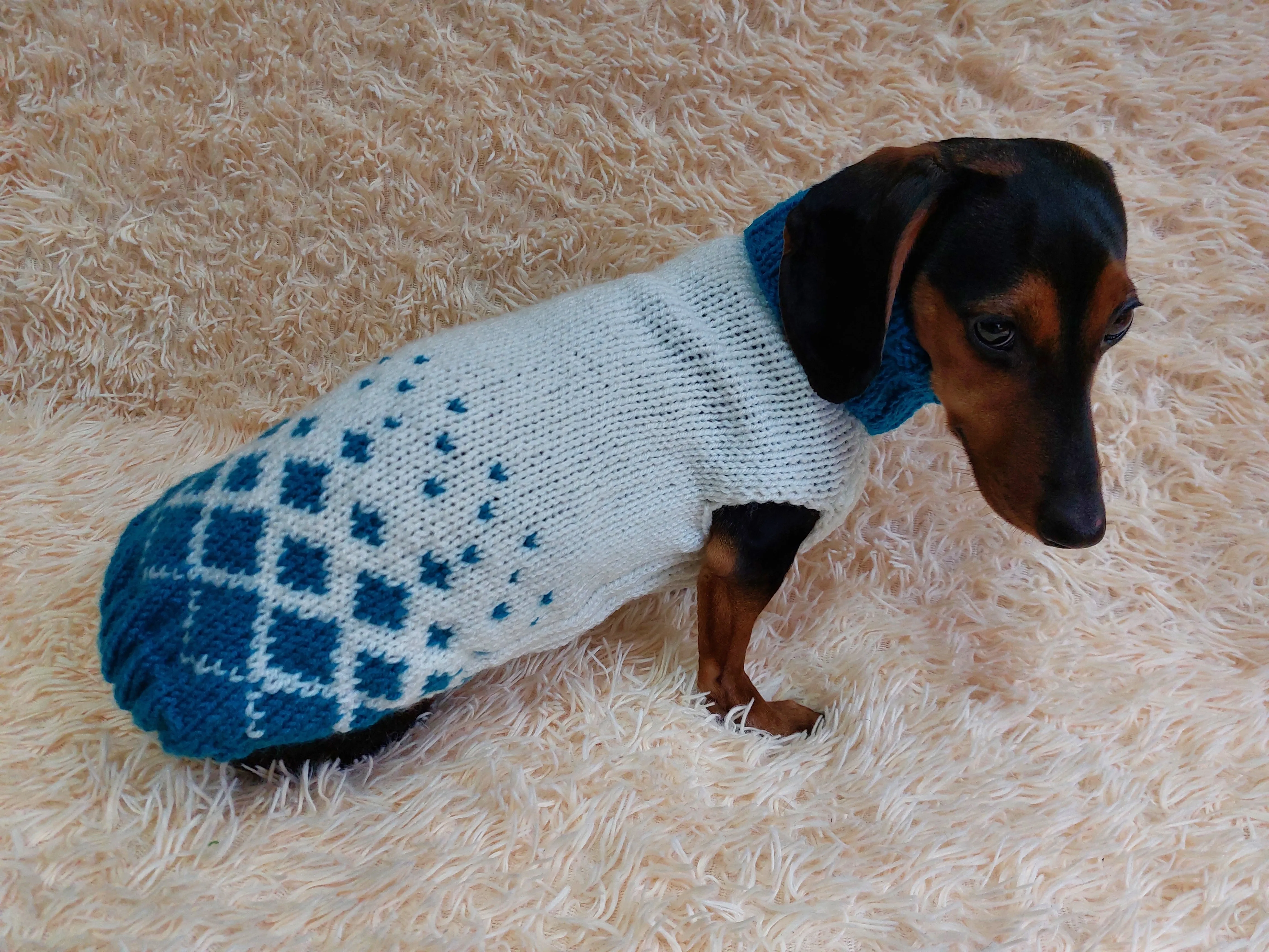 Jacquard Winter Pet Coat,Dog Sweater,Dachshund Cardigan