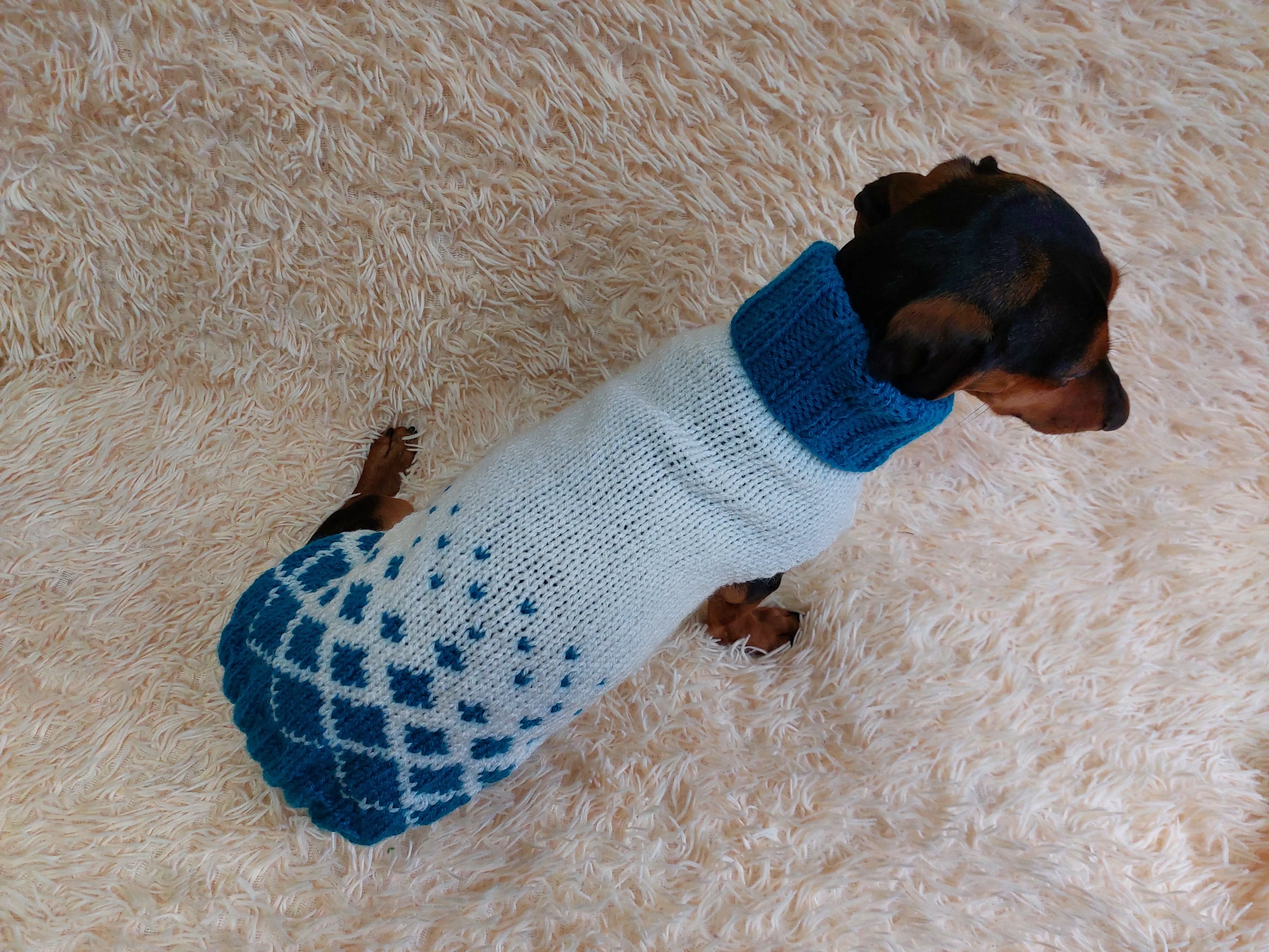 Jacquard Winter Pet Coat,Dog Sweater,Dachshund Cardigan