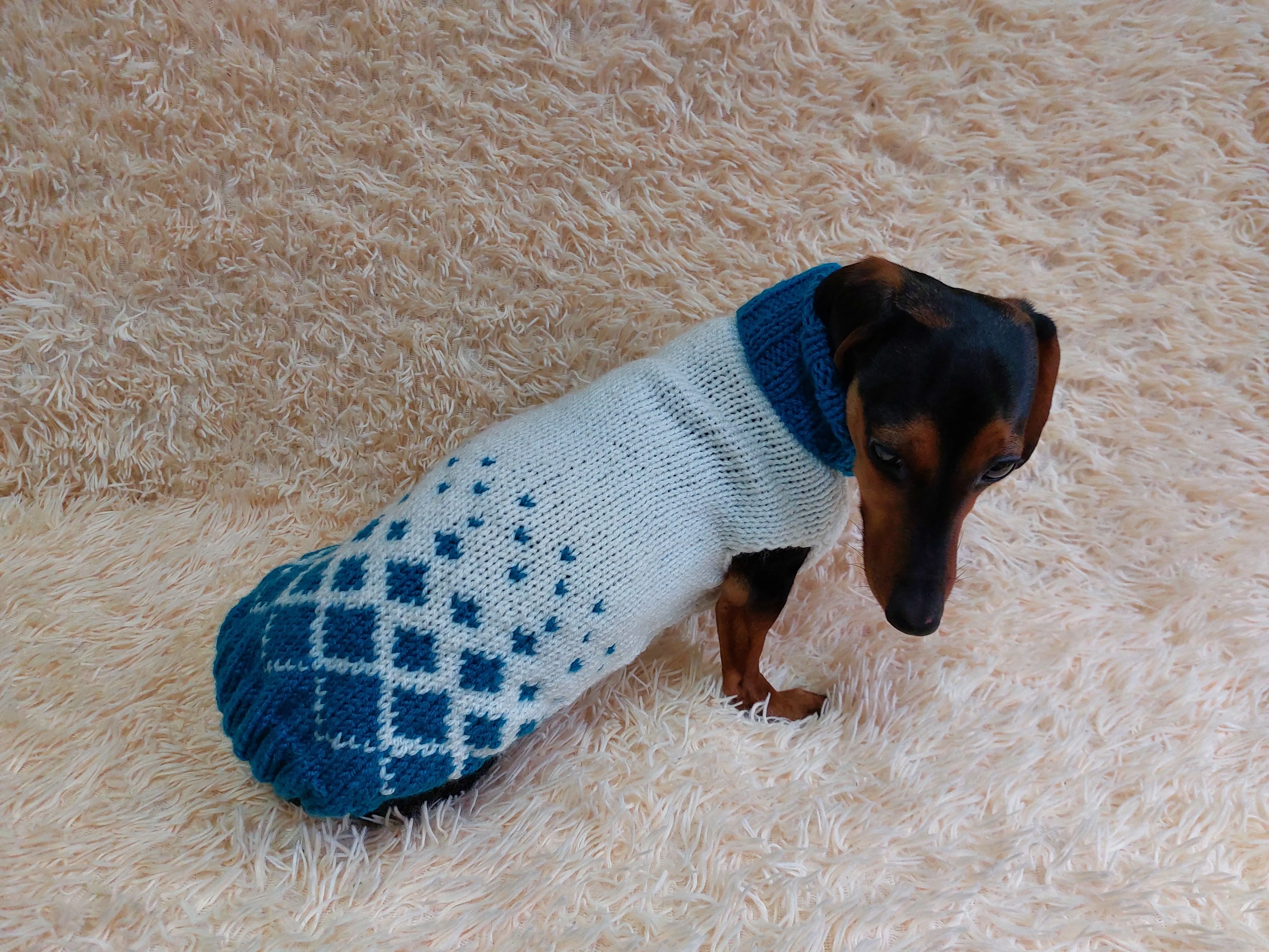 Jacquard Winter Pet Coat,Dog Sweater,Dachshund Cardigan