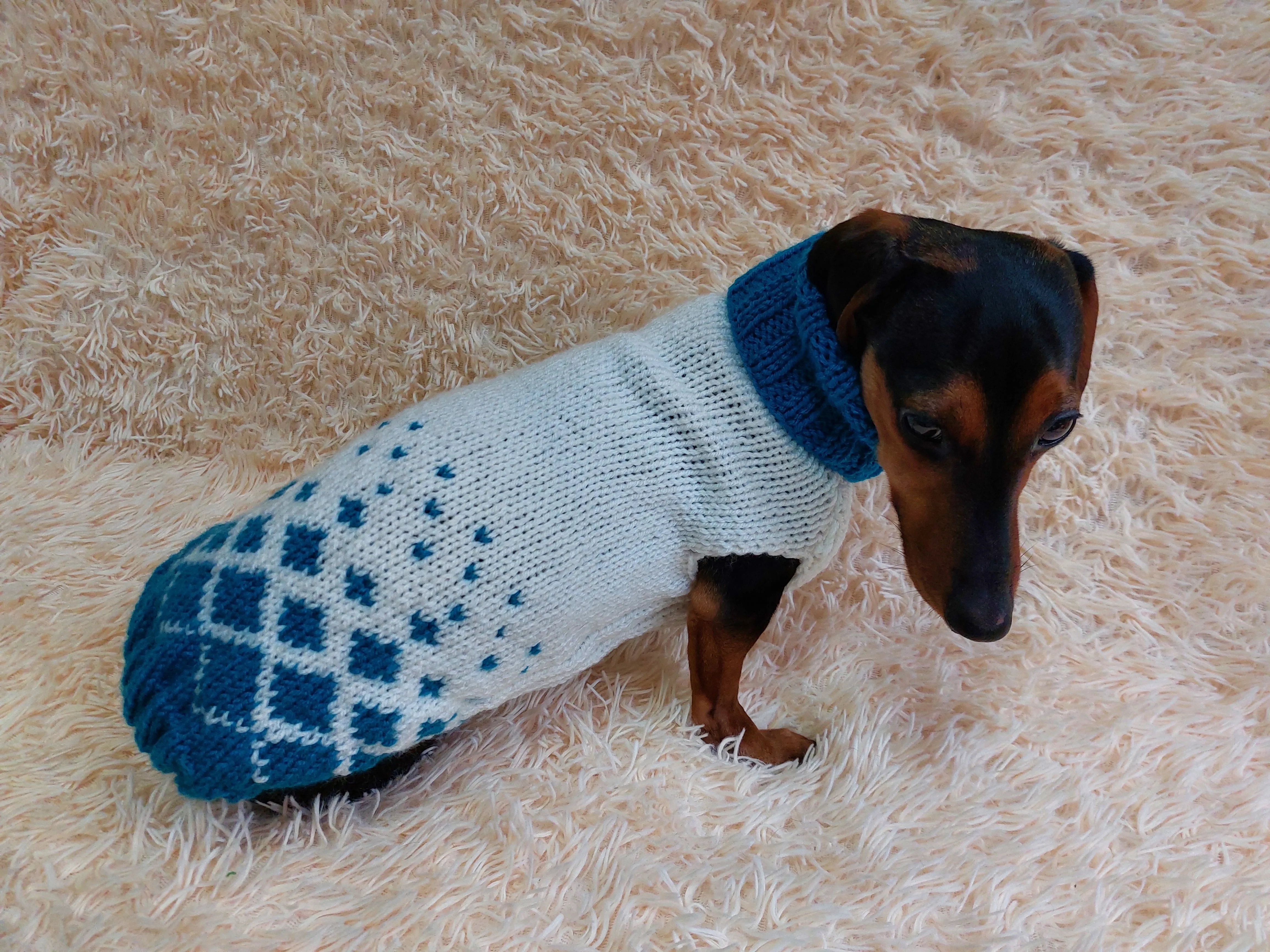 Jacquard Winter Pet Coat,Dog Sweater,Dachshund Cardigan