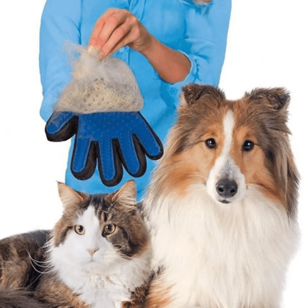 Kiki N Pooch True Touch Grooming Gloves for Dogs and Cats (Blue)
