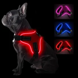 Light Up Dog Harness, Led No-Pull Reflective Dog Vest, Breathable Adjustable Pet Harness with Handle for Outdoor Walking - No More Pulling, Tugging or Choking (Red, M), Medium