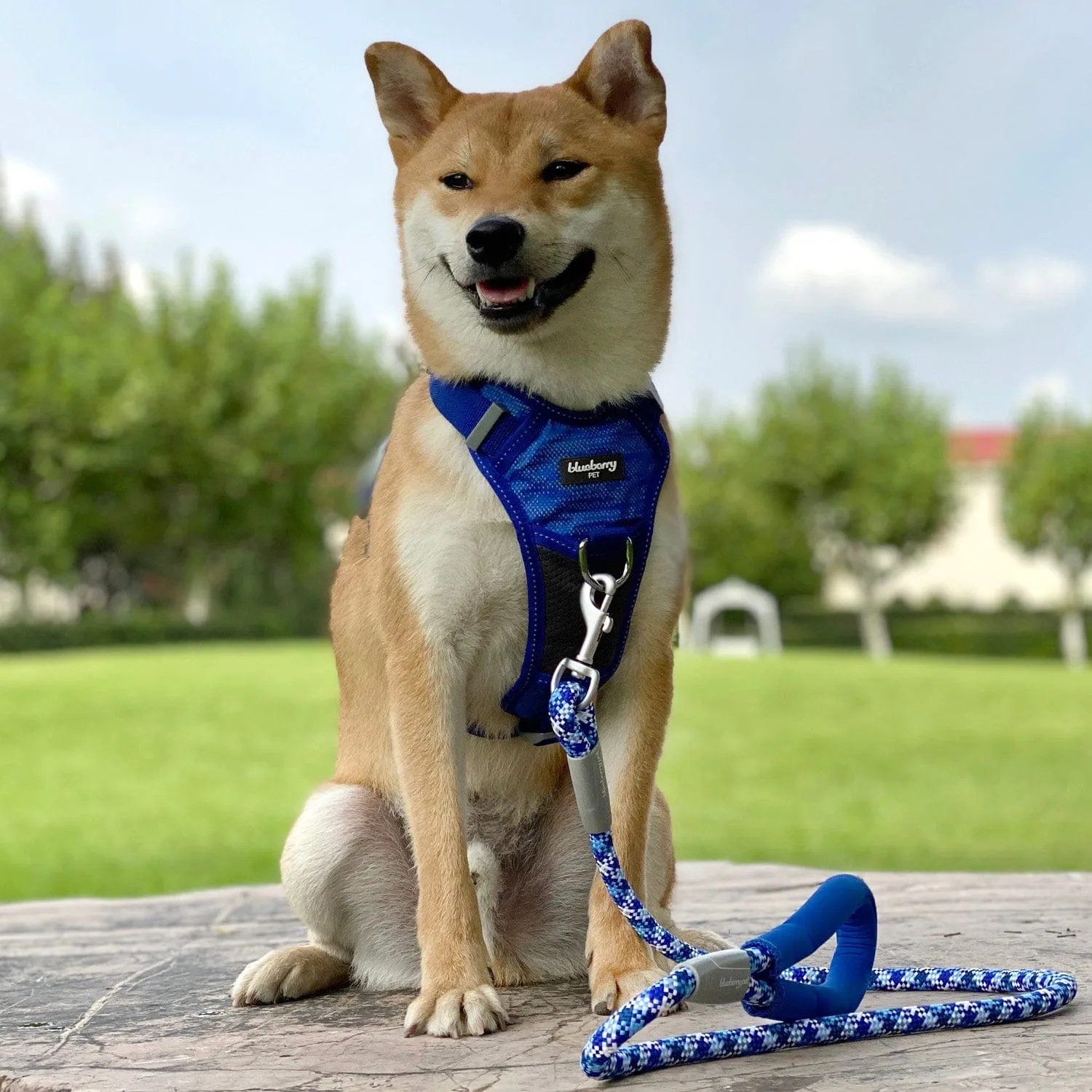 No Pull | Reflective Mesh Padded Dog Harness Vest