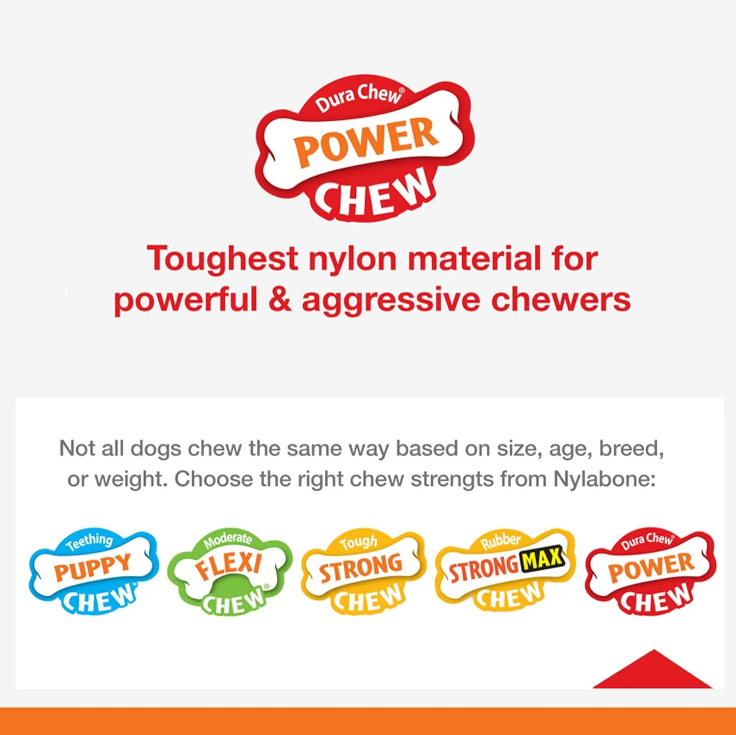 Nylabone Power Chew Femur Bone BIG Dog Chew Toy Chicken XX-Large/Monster - 50   lbs. (1 Count)