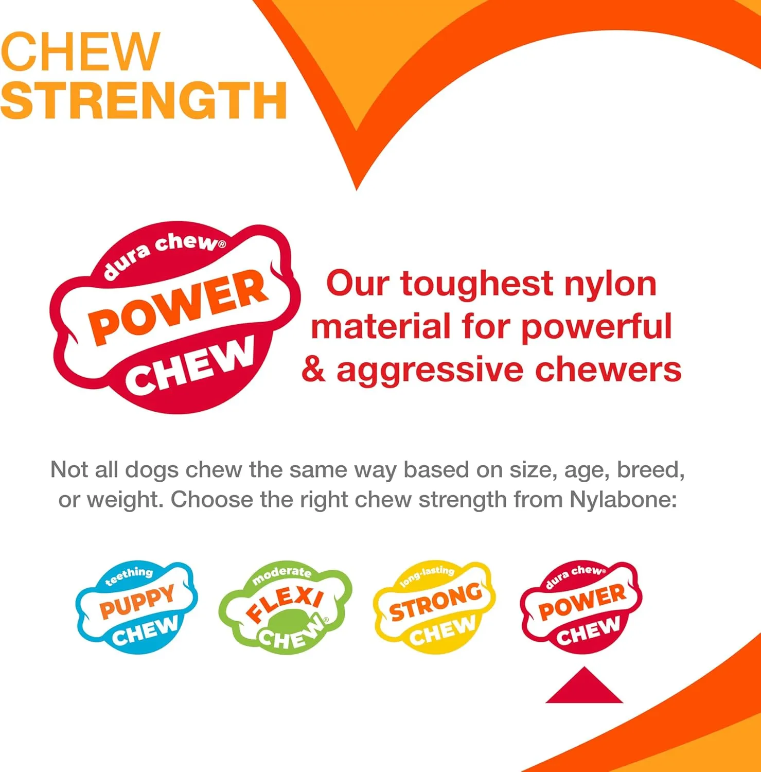 Nylabone Power Chew Toy Bundle, Cute Dog Toys for Aggressive Chewers, Filet Mignon, Cheese, and Bacon Flavors, Large Dogs - Up to 50 lbs, 3 Pack