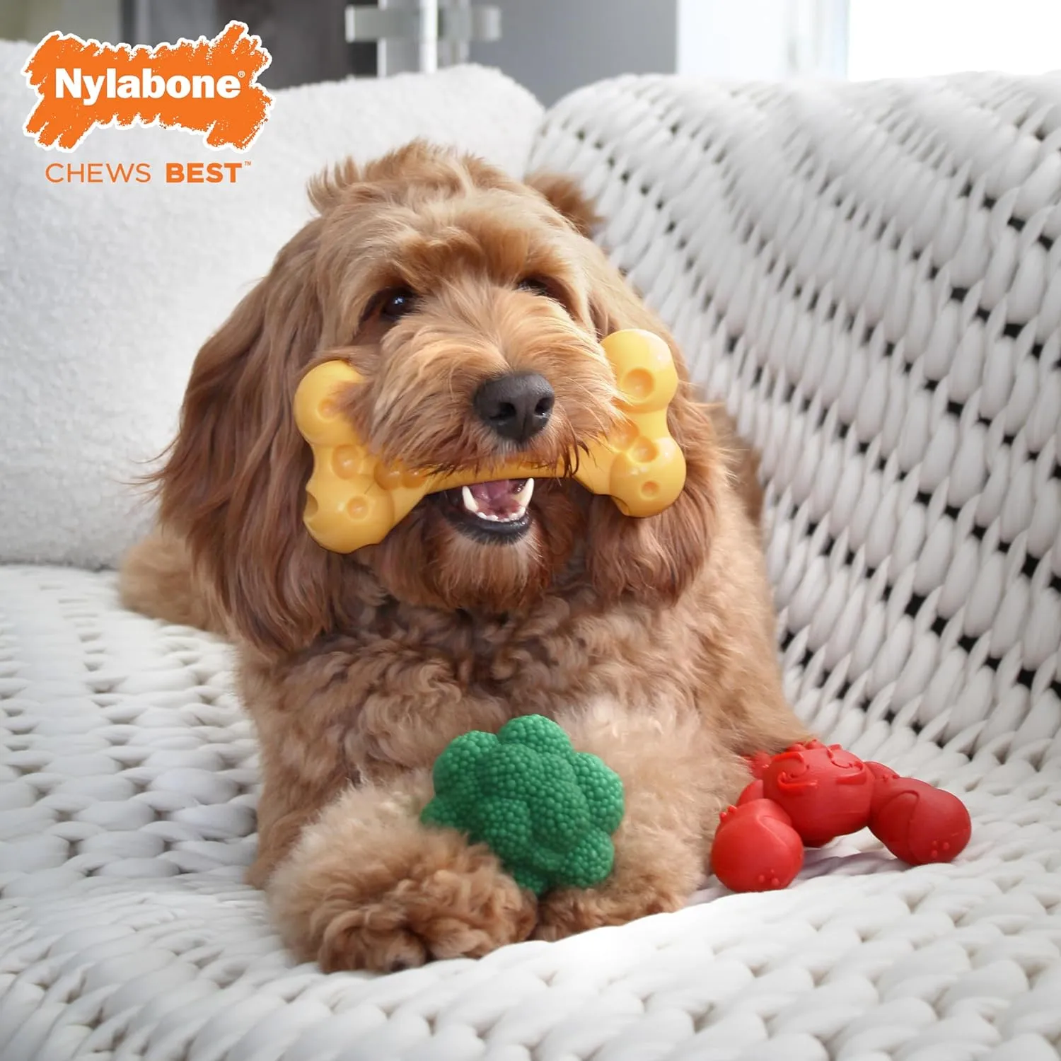 Nylabone Power Chew Toy Bundle, Cute Dog Toys for Aggressive Chewers, Filet Mignon, Cheese, and Bacon Flavors, Large Dogs - Up to 50 lbs, 3 Pack