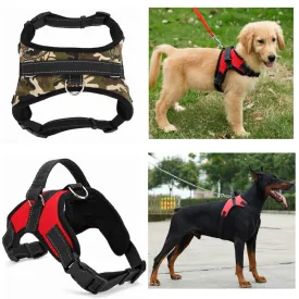 Nylon Comfy K9 Harness