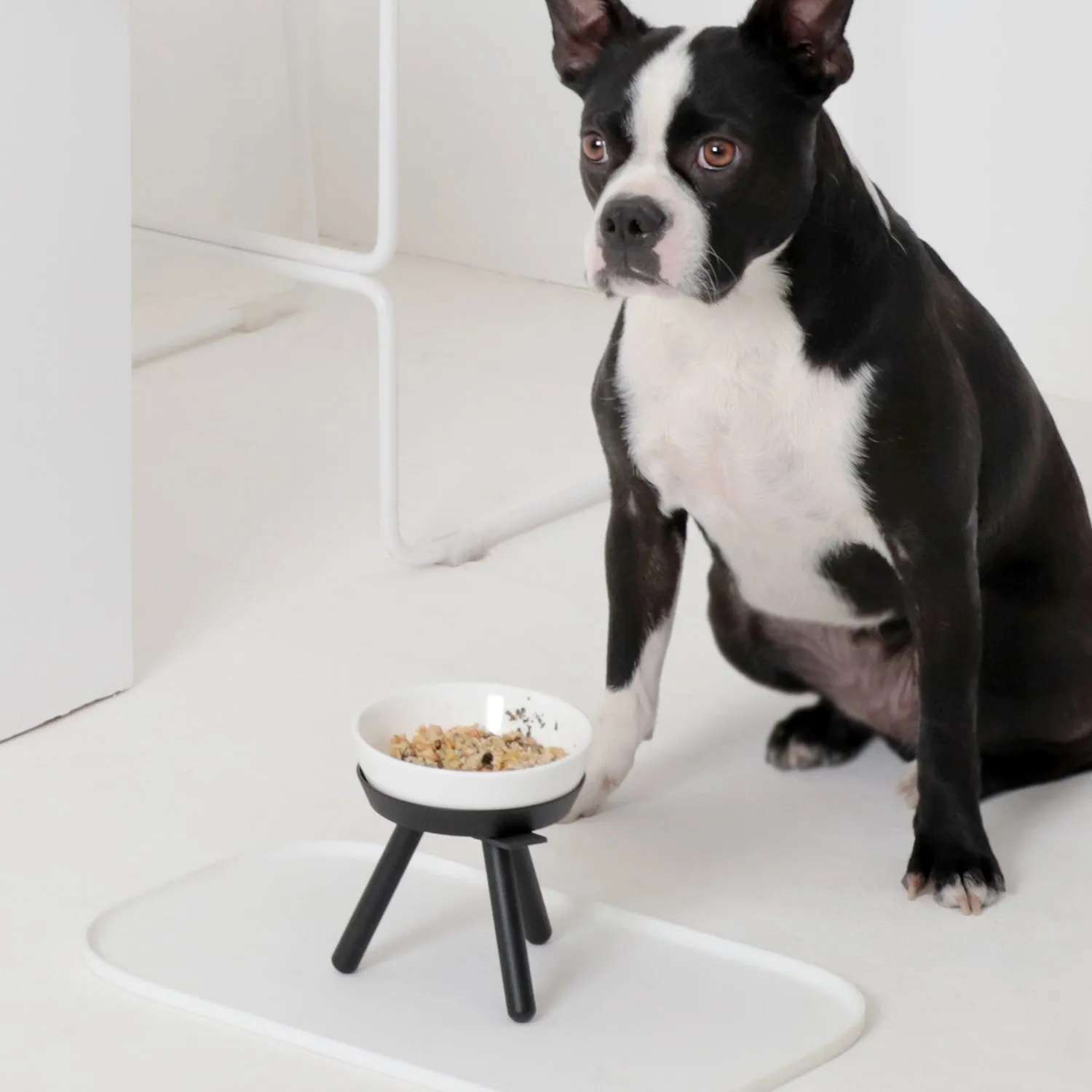 Oreo Pet Mat