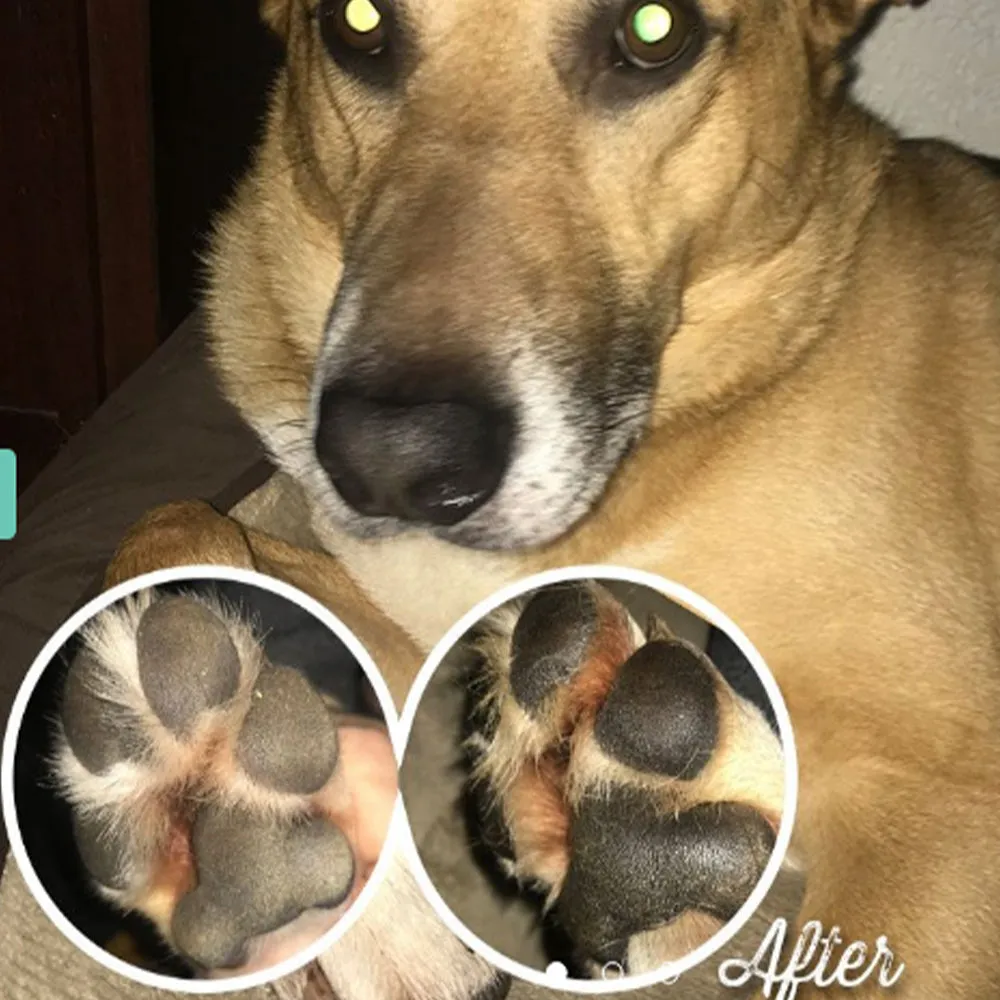 Organic Paw Soother