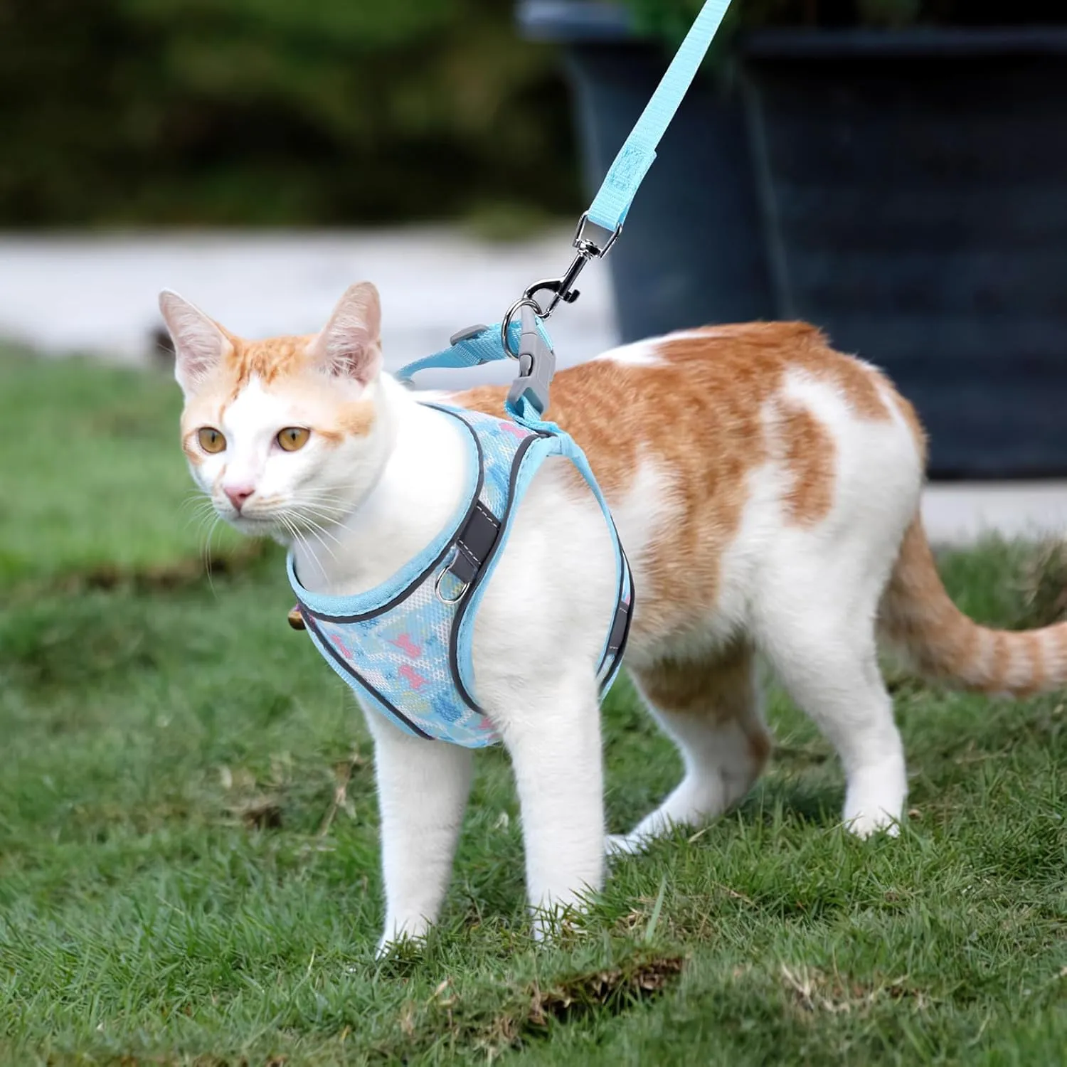 ORIA Cat Harness and Leash Set, Adjustable Cat Vest Harness, Escape Proof Kitten Harness with Reflective Strip, Easy Control Breathable Kitten Vest for Small Medium Cats, Blue, XXS