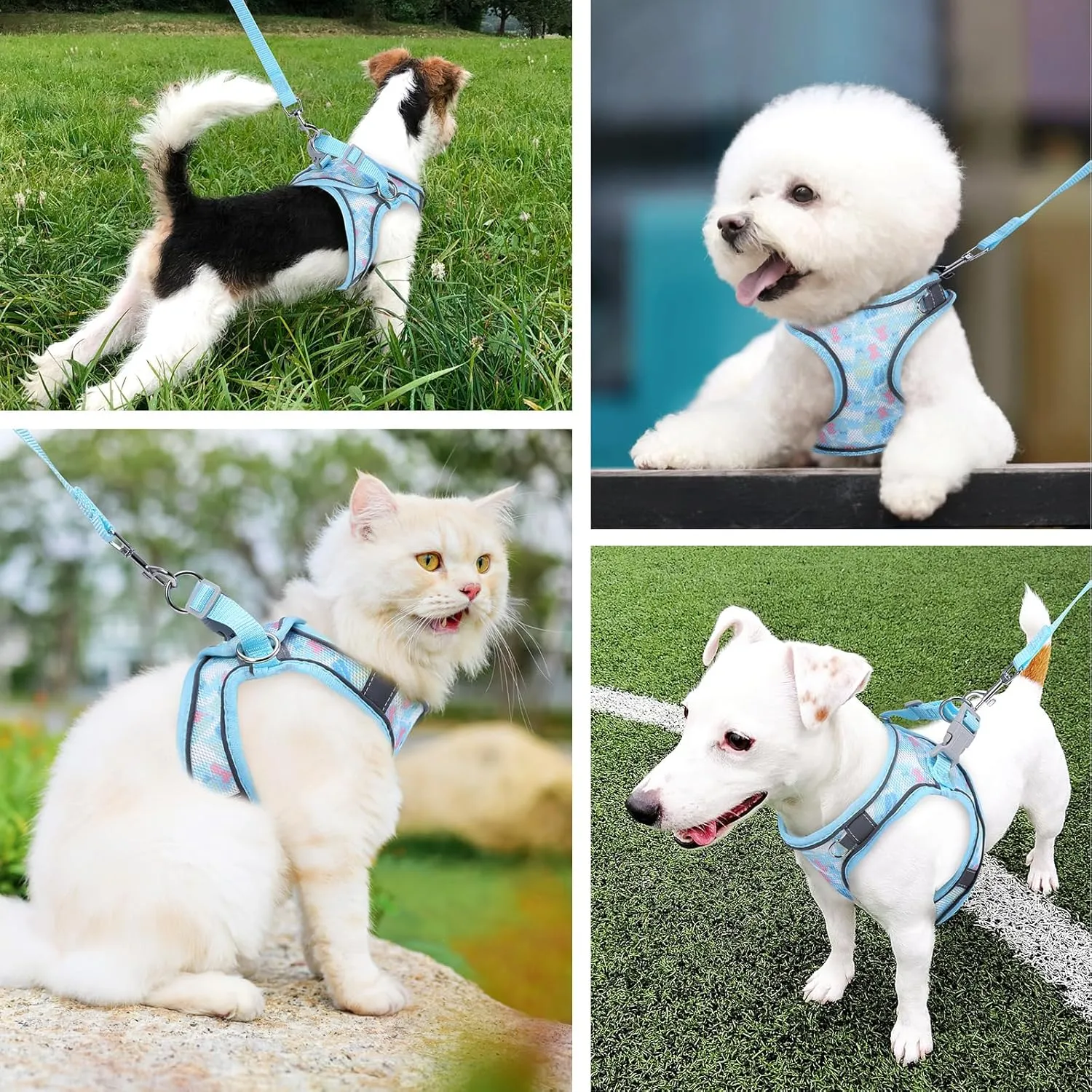 ORIA Cat Harness and Leash Set, Adjustable Cat Vest Harness, Escape Proof Kitten Harness with Reflective Strip, Easy Control Breathable Kitten Vest for Small Medium Cats, Blue, XXS