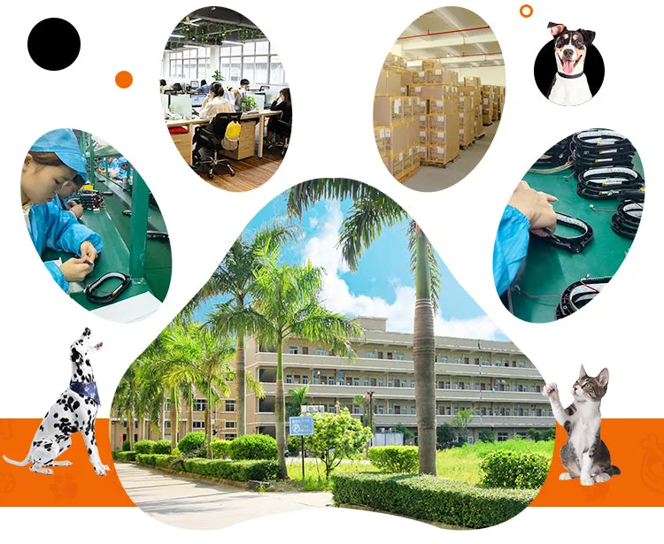 PAWS ASIA Suppliers Direct Sale Plastic Travel Multi Use Portable Dog Drink Bottle With Dog Food