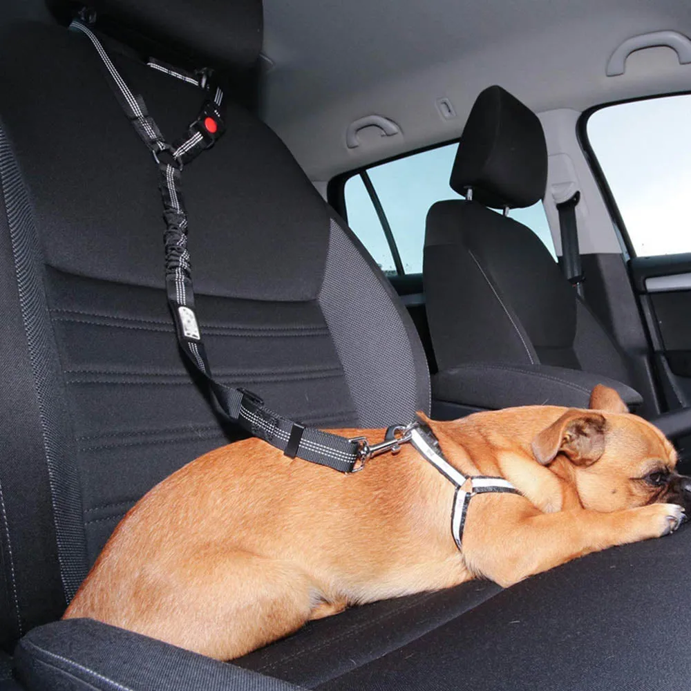 PAWS ASIA Wholesale Multi Use Reflective Elasticity Long Safety Unique Car Dog Leash