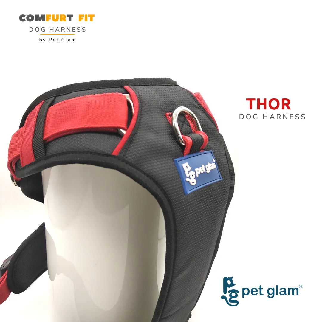 Pet Glam Dog Harness THOR