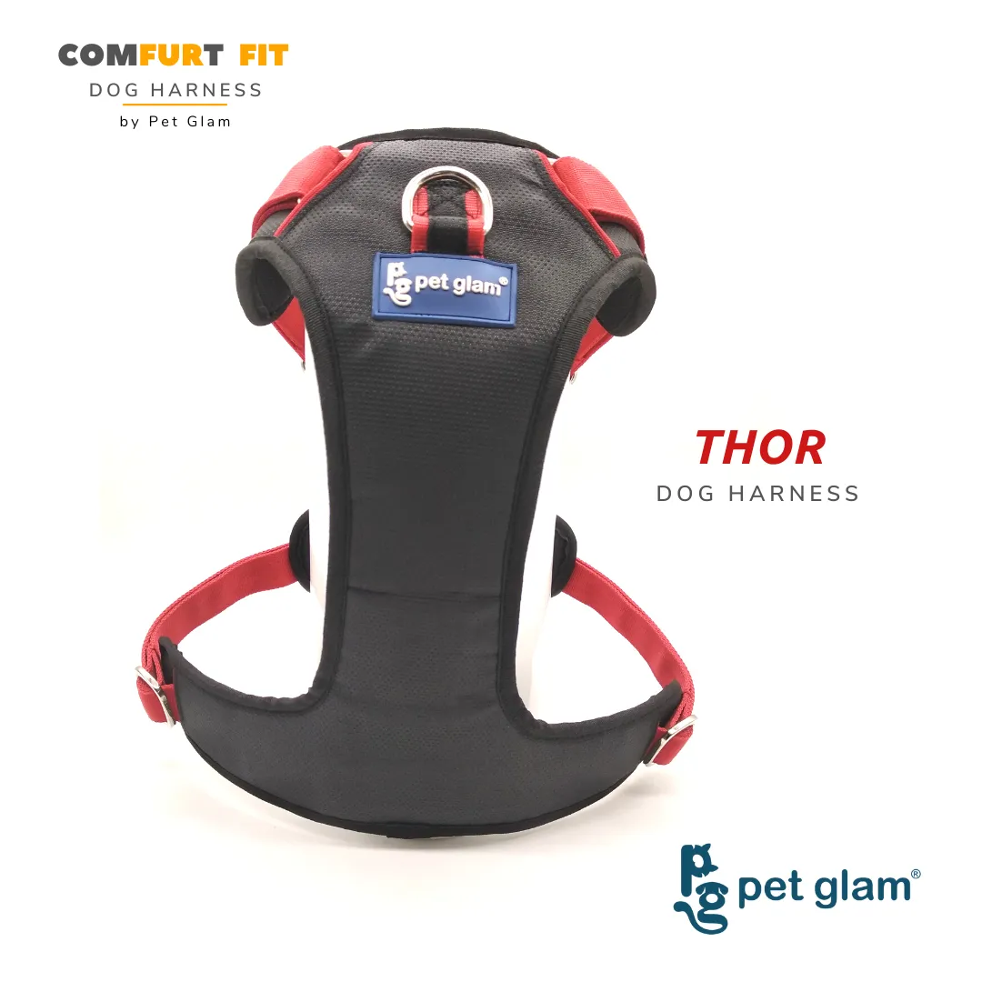 Pet Glam Dog Harness THOR