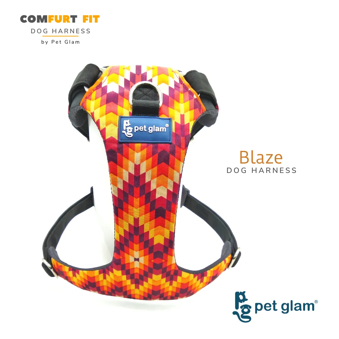 Pet Glam Harness for Dogs BLAZE