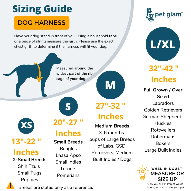 Pet Glam Harness for Dogs BLAZE