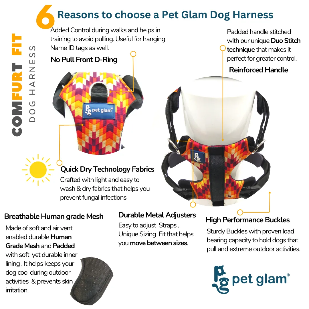 Pet Glam Harness for Dogs BLAZE