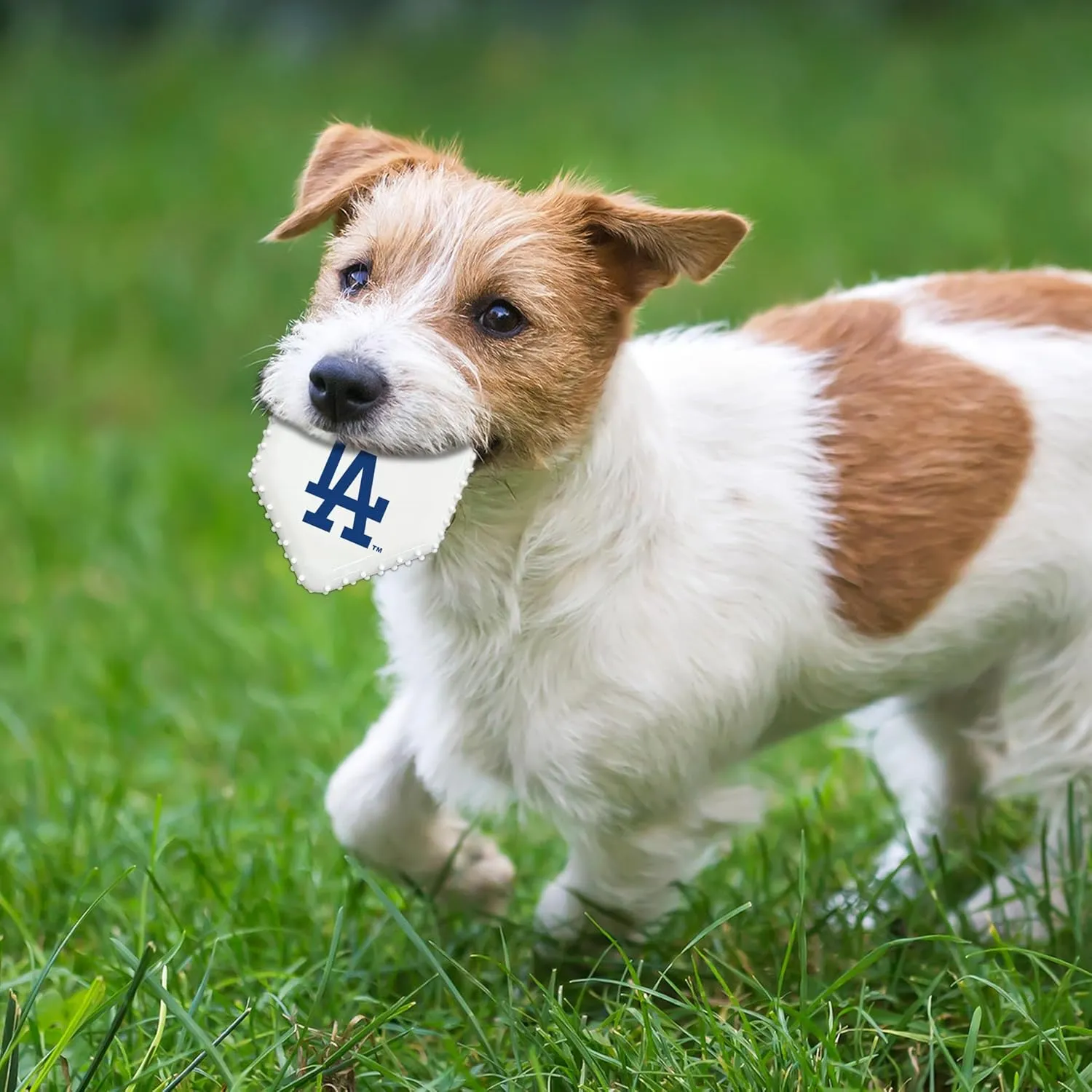 Pets First MLB LA Dodgers Hard-Nylon Baseball Home Plate Dog Chew Toy, Interactive and Fun Dog CHEW Toy, Bacon Flavored, Strong Durable Chew Toy for Pets