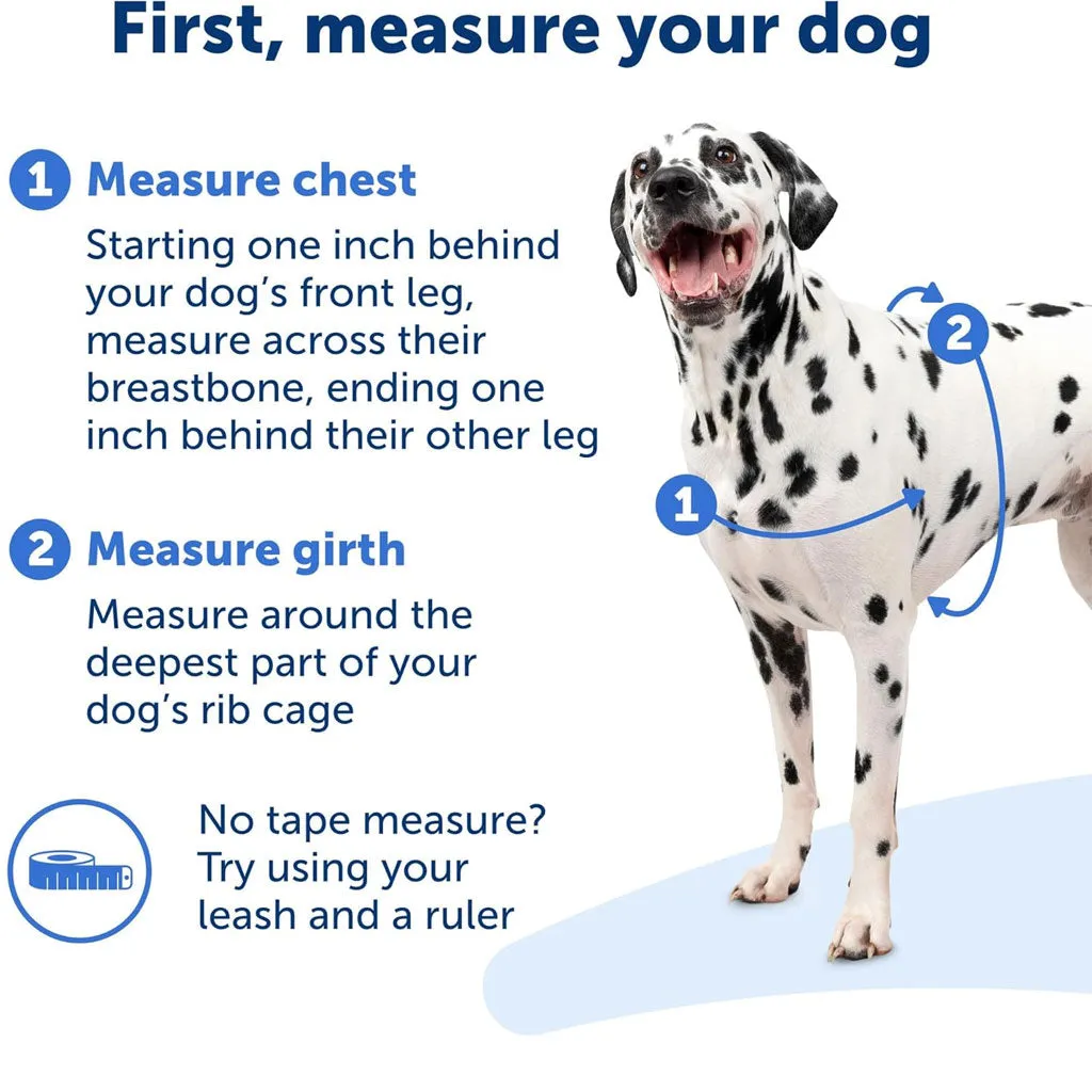 PetSafe Deluxe Easy Walk No Pull Dog Harness, Steel/Black