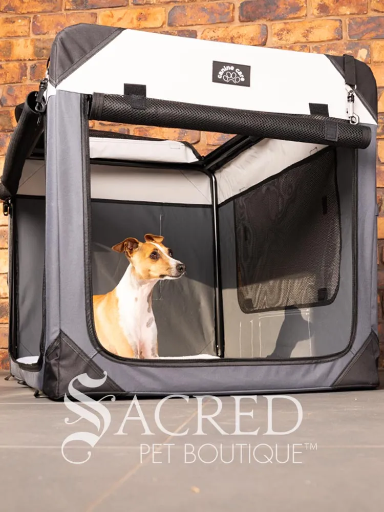 Portable Soft Pet Crate