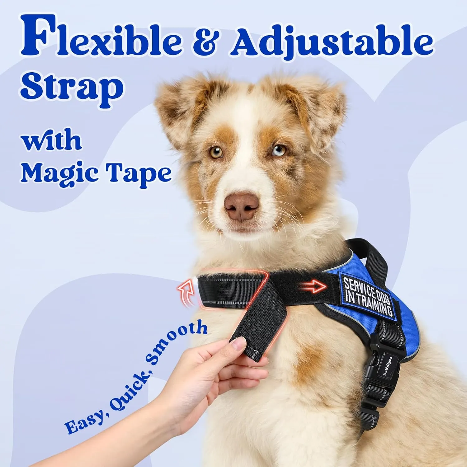 rabbitgoo Dog Harness Small Sized, No Pull No Choke Pet Vest, Easy Wearing with One Buckle, Reflective, Adjustable Pet Harness with Molle for Walking, Training, Blue, S