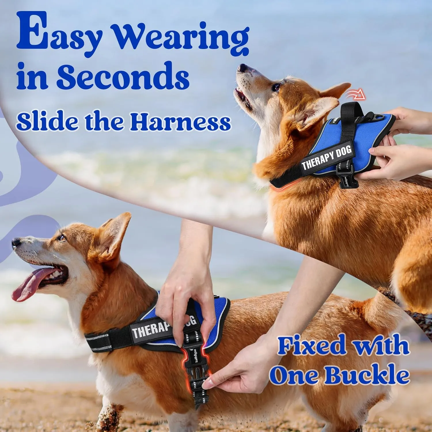 rabbitgoo Dog Harness Small Sized, No Pull No Choke Pet Vest, Easy Wearing with One Buckle, Reflective, Adjustable Pet Harness with Molle for Walking, Training, Blue, S
