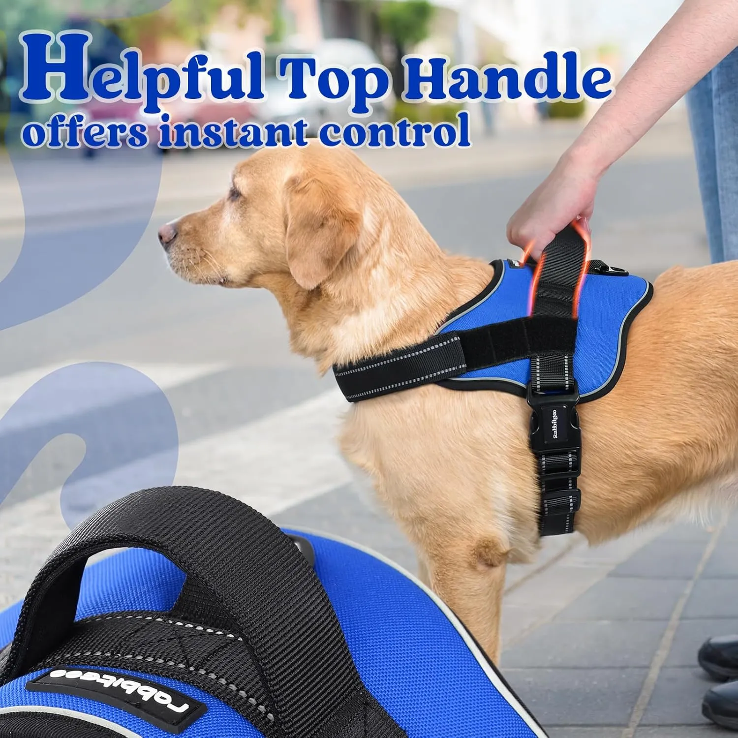 rabbitgoo Dog Harness Small Sized, No Pull No Choke Pet Vest, Easy Wearing with One Buckle, Reflective, Adjustable Pet Harness with Molle for Walking, Training, Blue, S