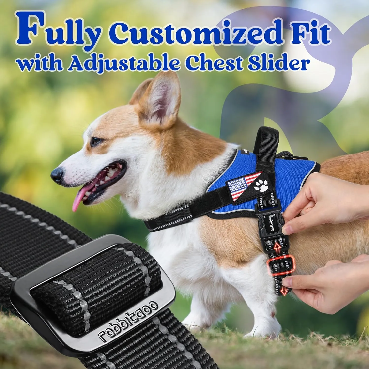 rabbitgoo Dog Harness Small Sized, No Pull No Choke Pet Vest, Easy Wearing with One Buckle, Reflective, Adjustable Pet Harness with Molle for Walking, Training, Blue, S