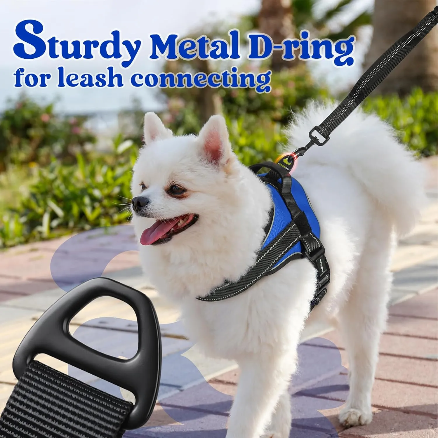 rabbitgoo Dog Harness Small Sized, No Pull No Choke Pet Vest, Easy Wearing with One Buckle, Reflective, Adjustable Pet Harness with Molle for Walking, Training, Blue, S